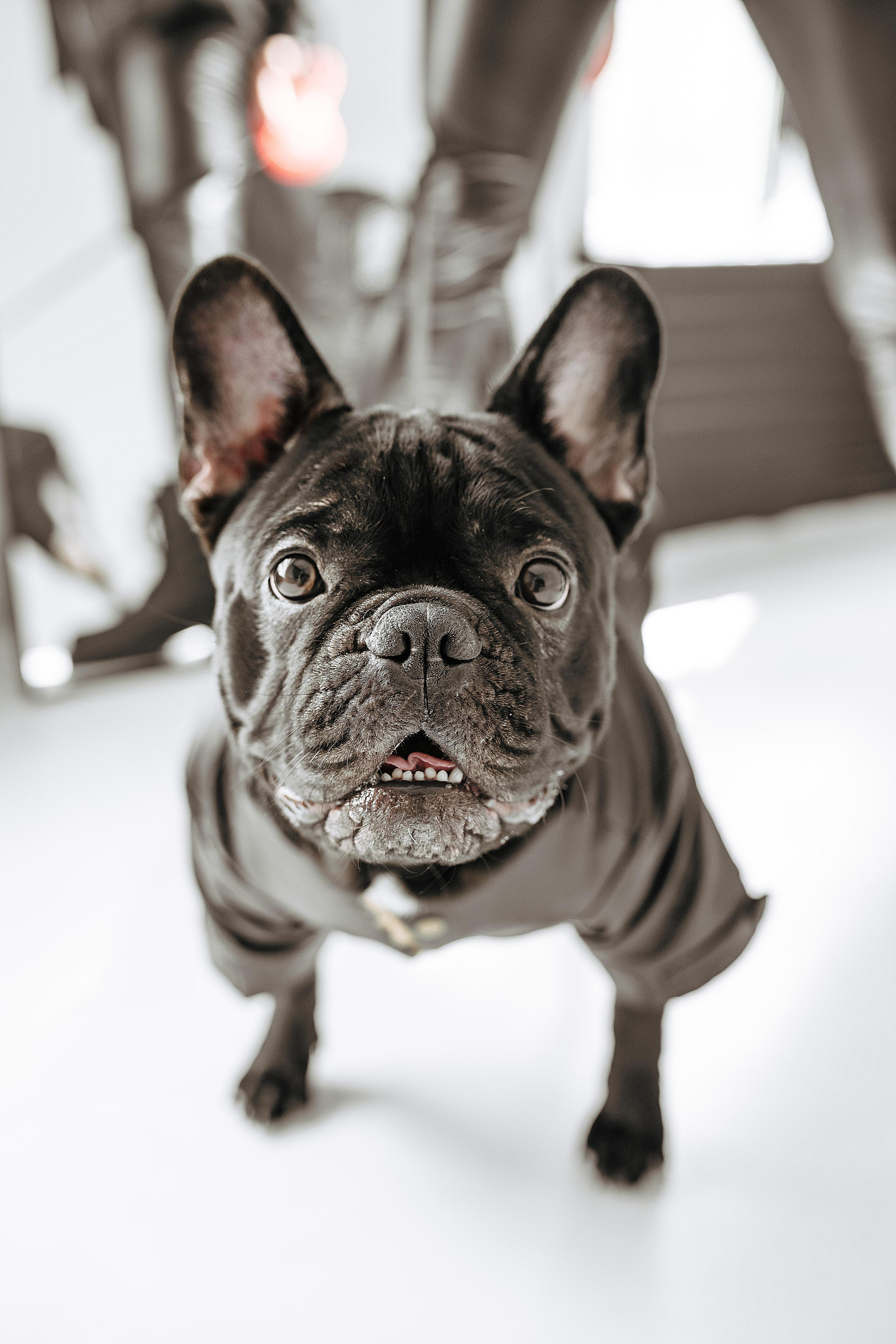 Настя и Боря. Свадебный, семейный и детский фотограф в Москве и области