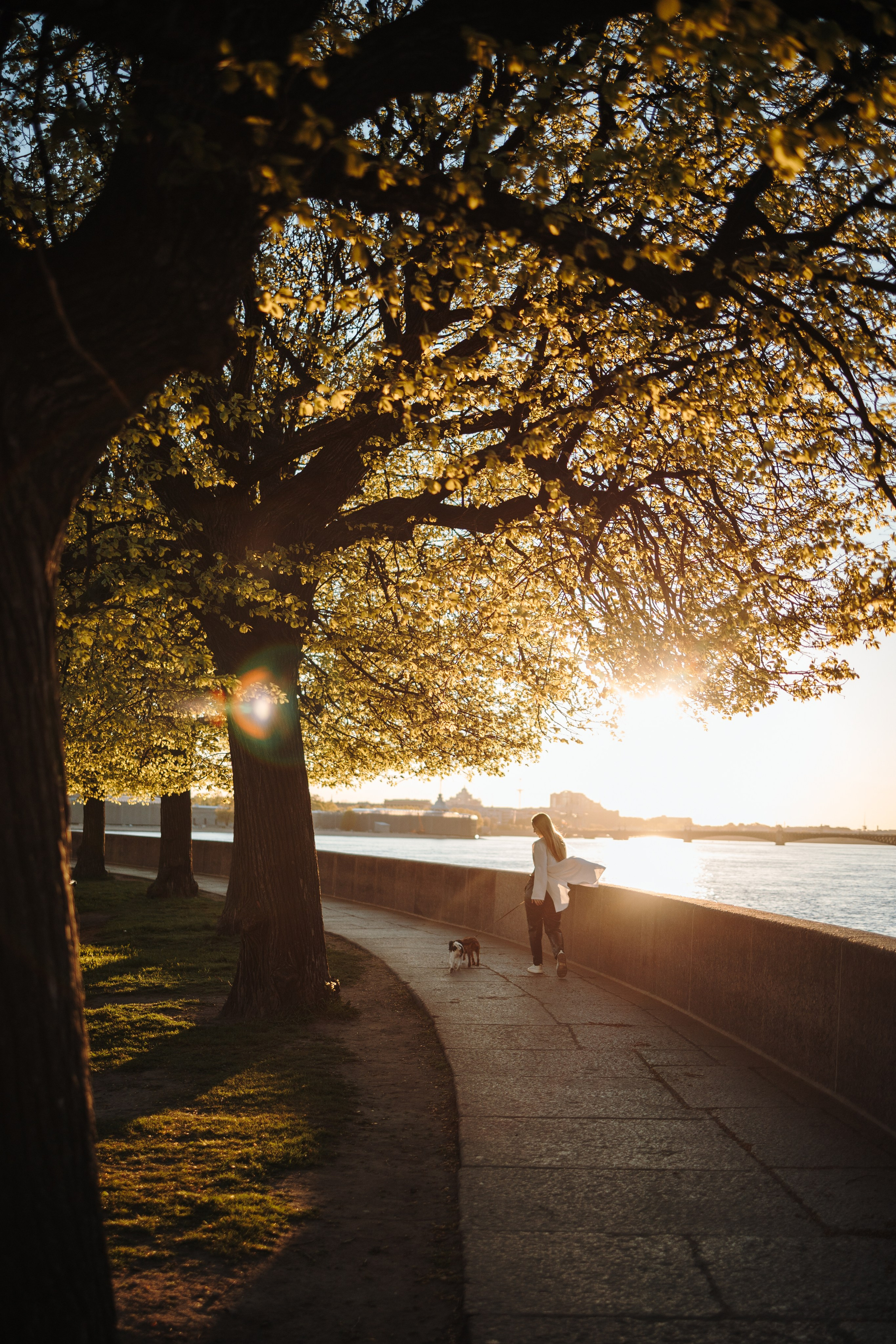 Аня, Стеша и Степан. Фотограф — Анималист | Санкт-Петербург