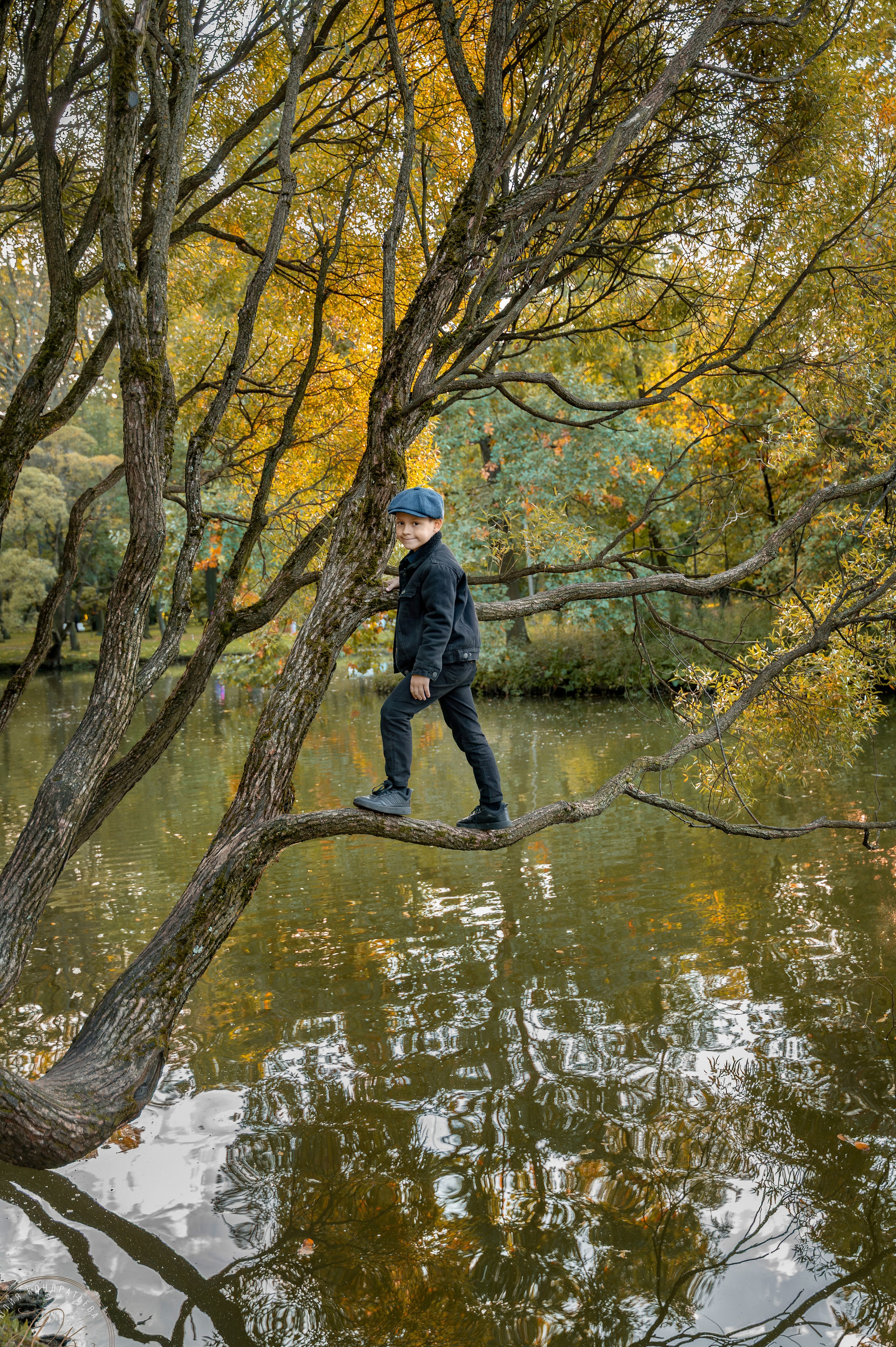 Осенняя фотосессия мальчика в парке: ребёнок уверенно шагает по изогнутой ветке на фоне золотой листвы и зеркальной глади пруда.