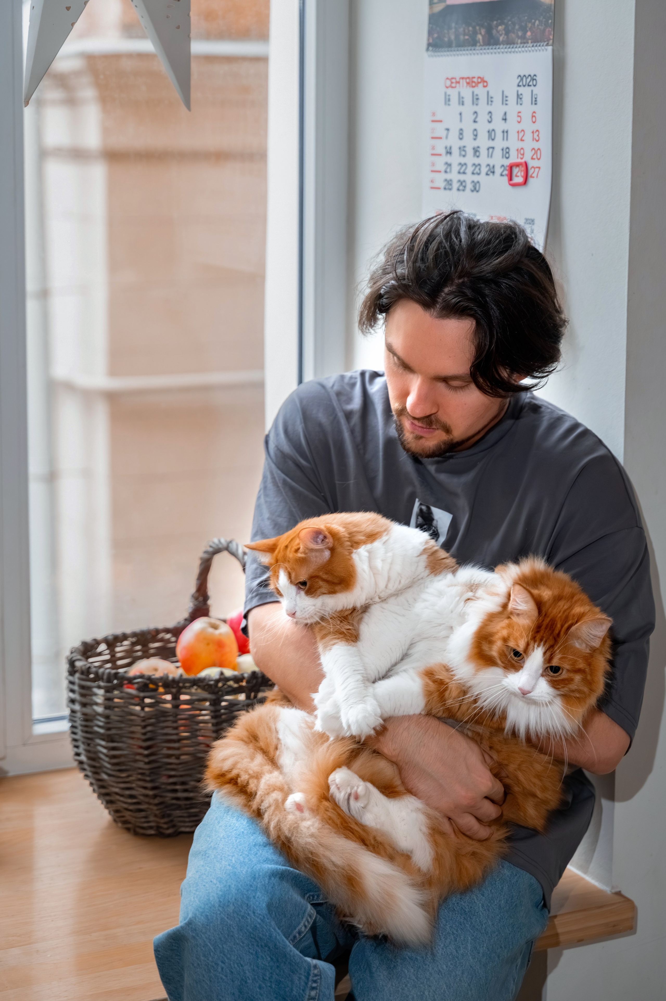 Семейная фотосессия с котами дома