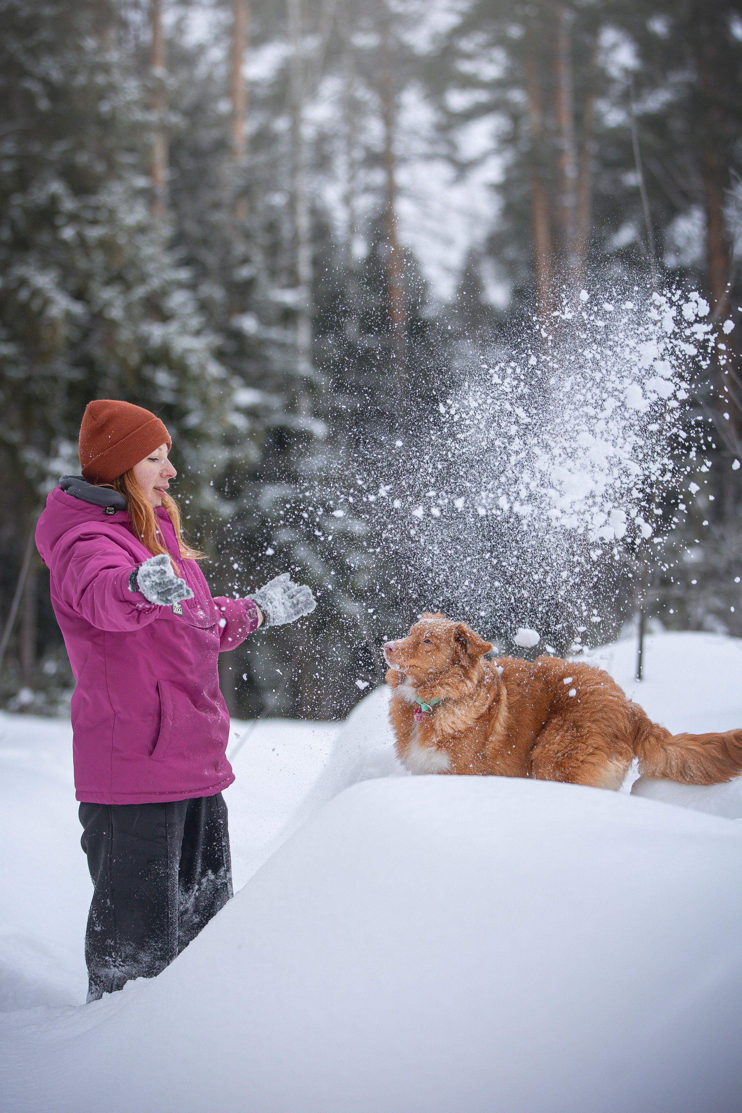 Руби, Николь, Кирилл и Мила. Фотограф анималист в Москве Майорова Евгения