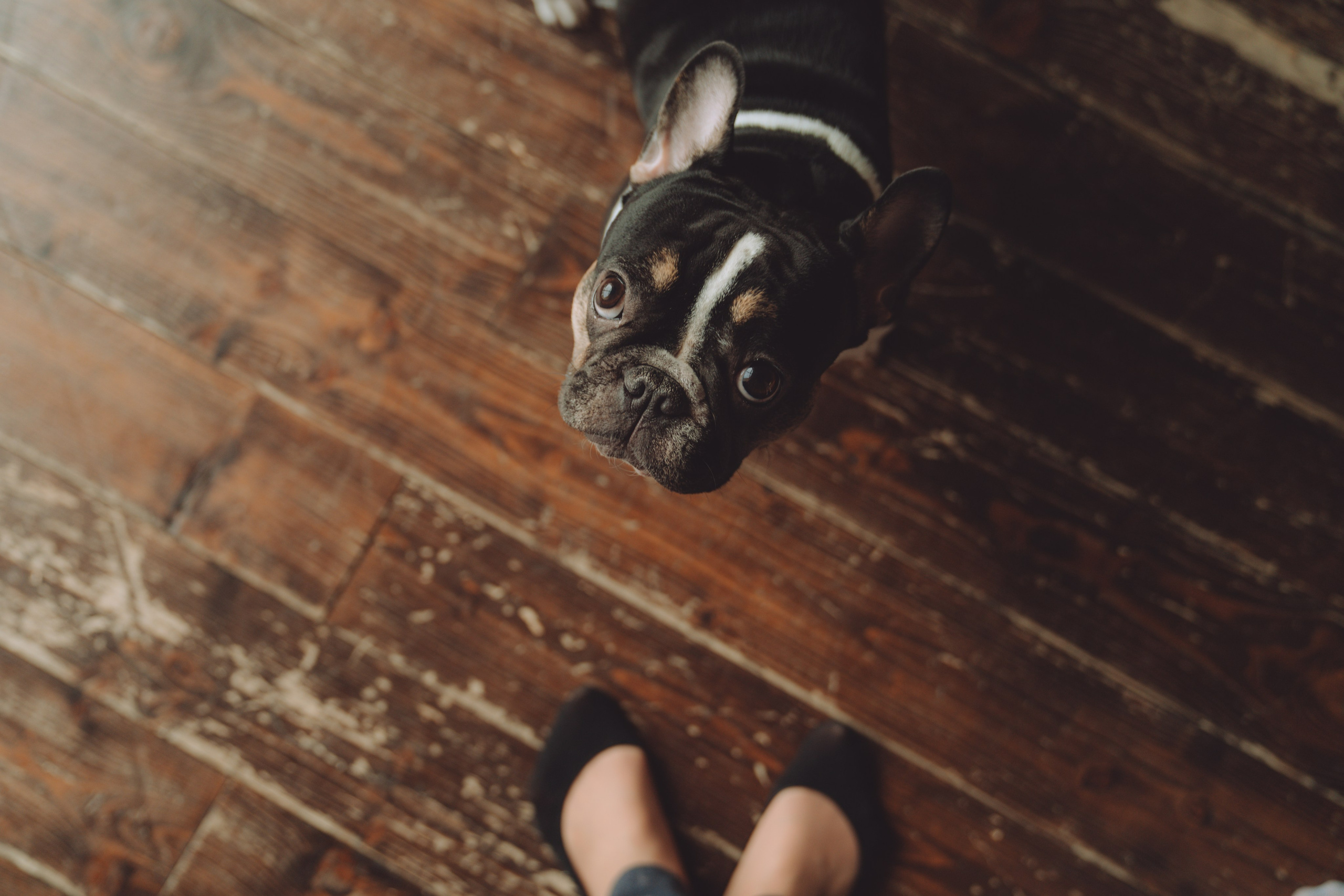 МАЛЕНЬКИЕ ДЕТИ — ЭТО МАЛЕНЬКИЕ ДНИ, НО ОГРОМНЫЕ ВОСПОМИНАНИЯ. Семейный и детский фотограф Анна Бренч