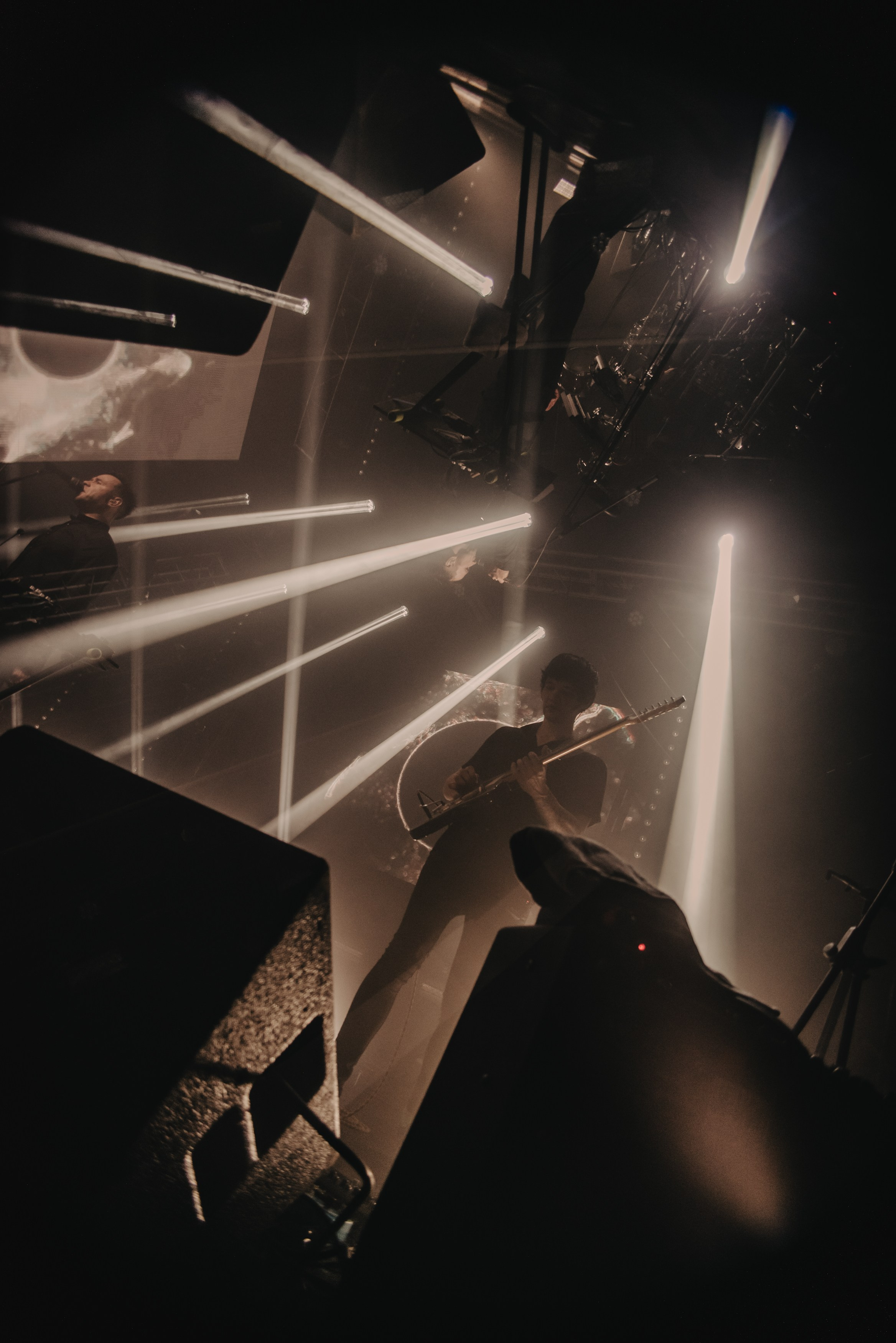 Дельфин | Gaudi. Контент фотограф Илья Урс