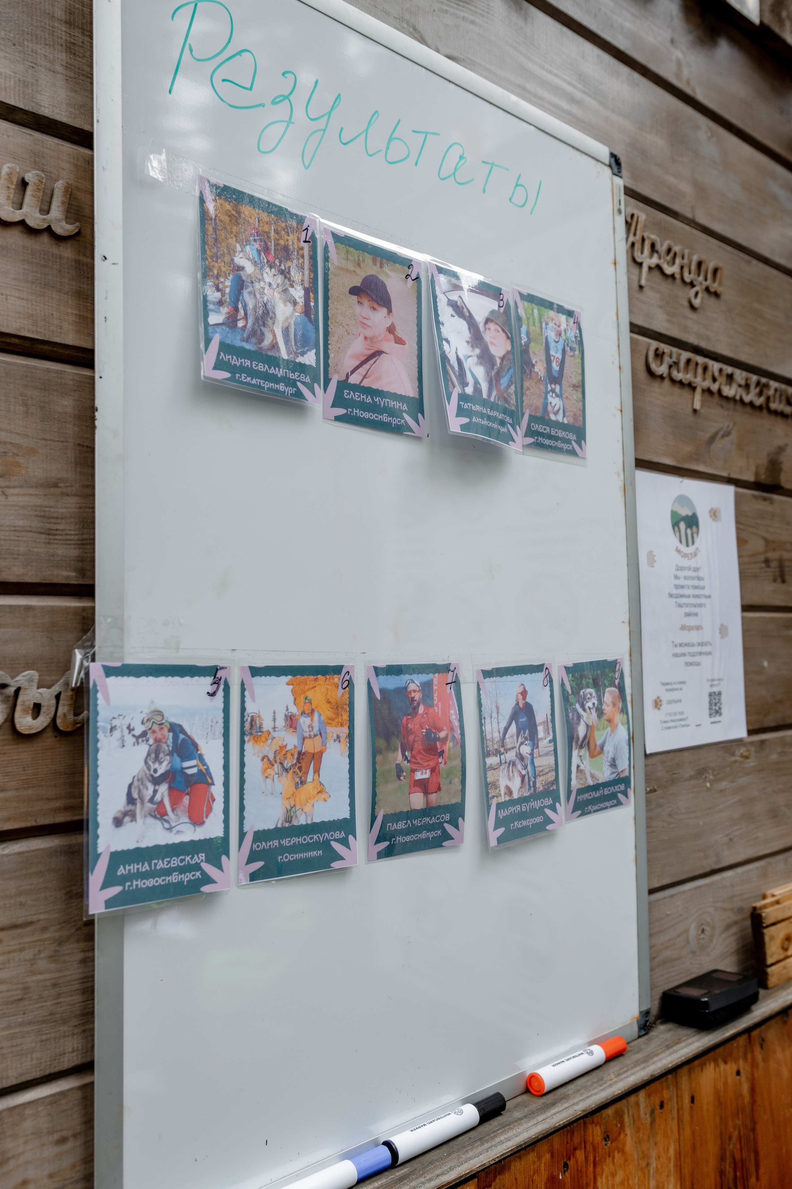 Дог-треккинг