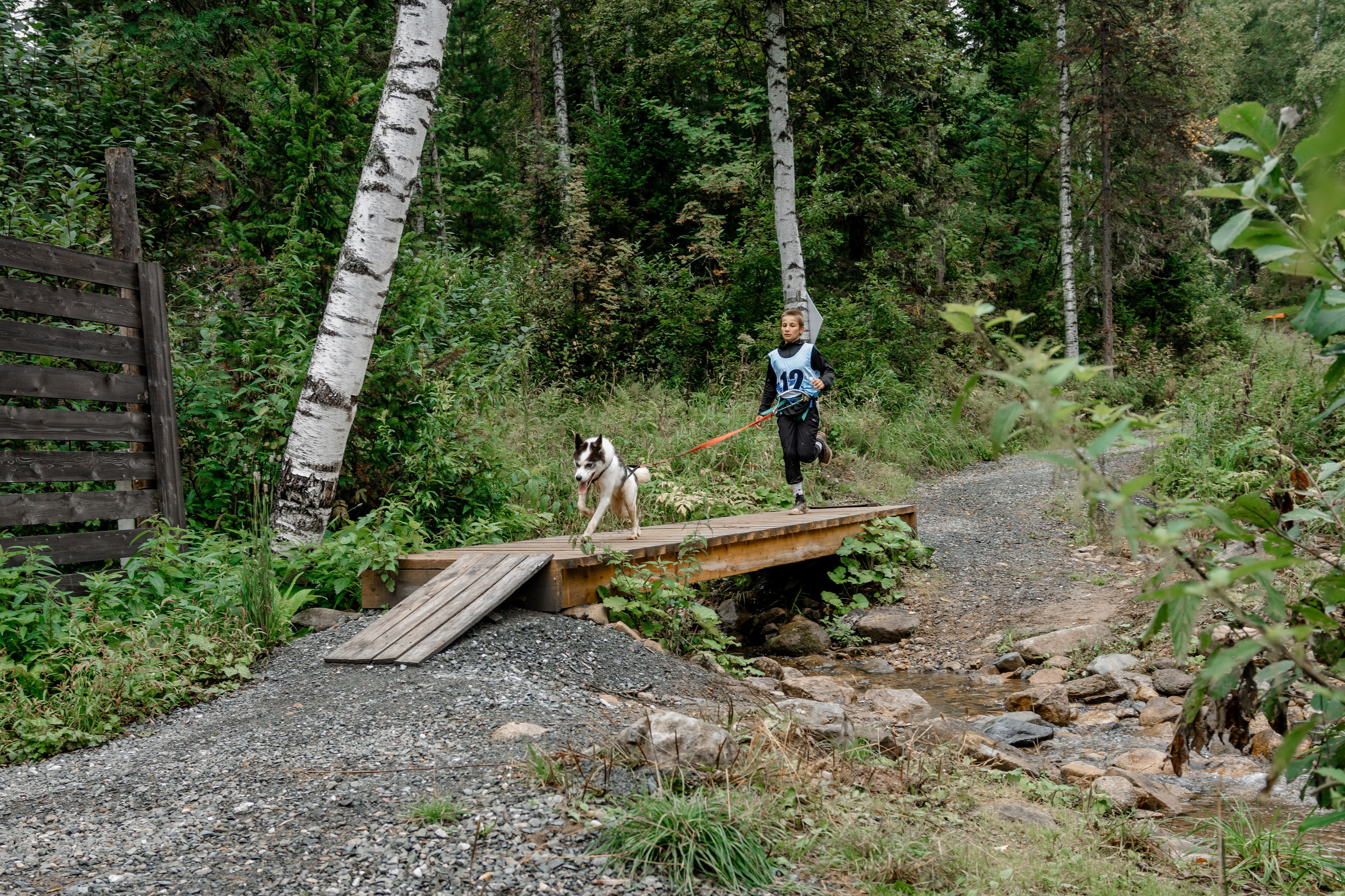 Дог-треккинг