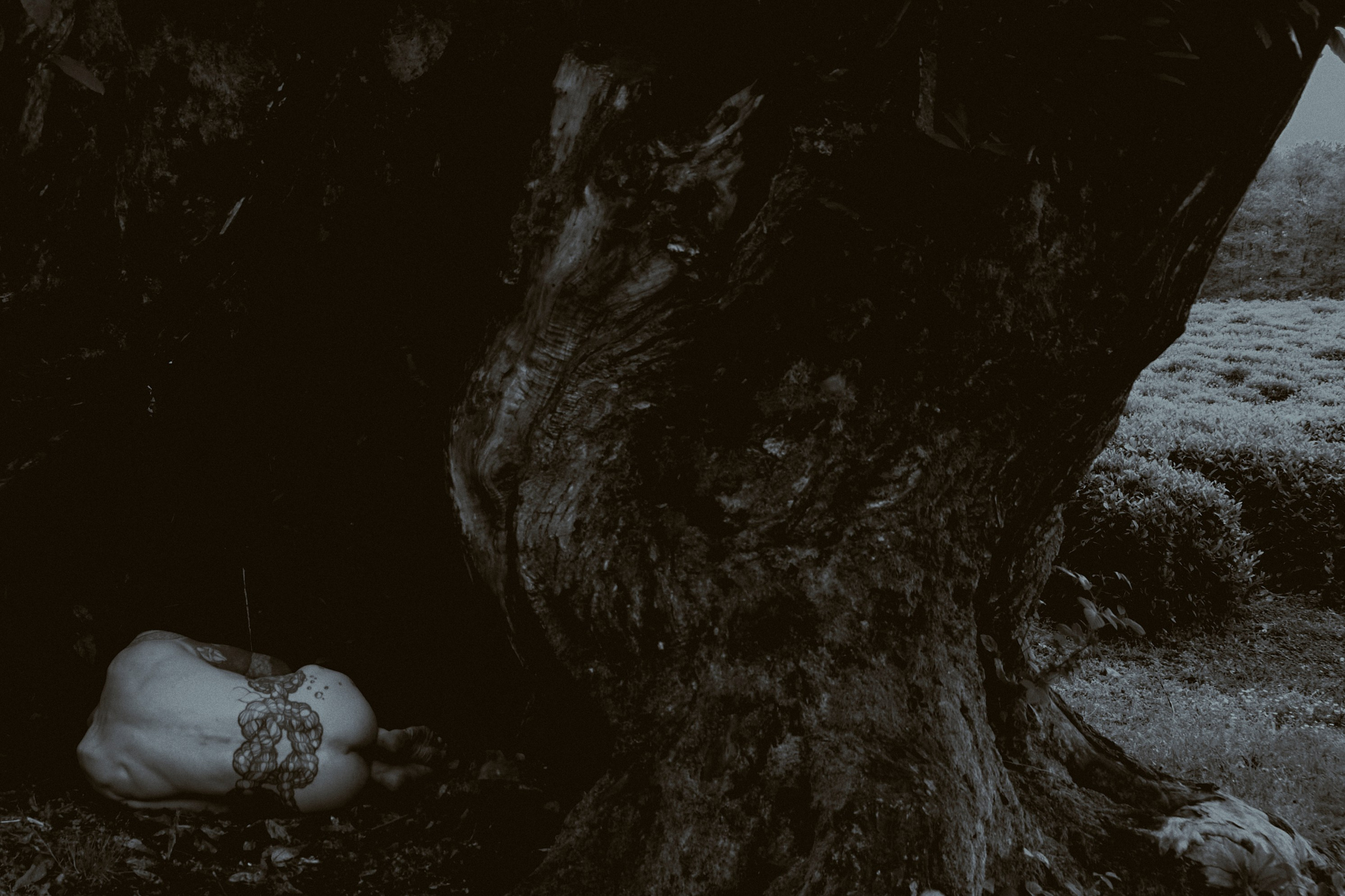 Khosta. Фотограф Настя Лев