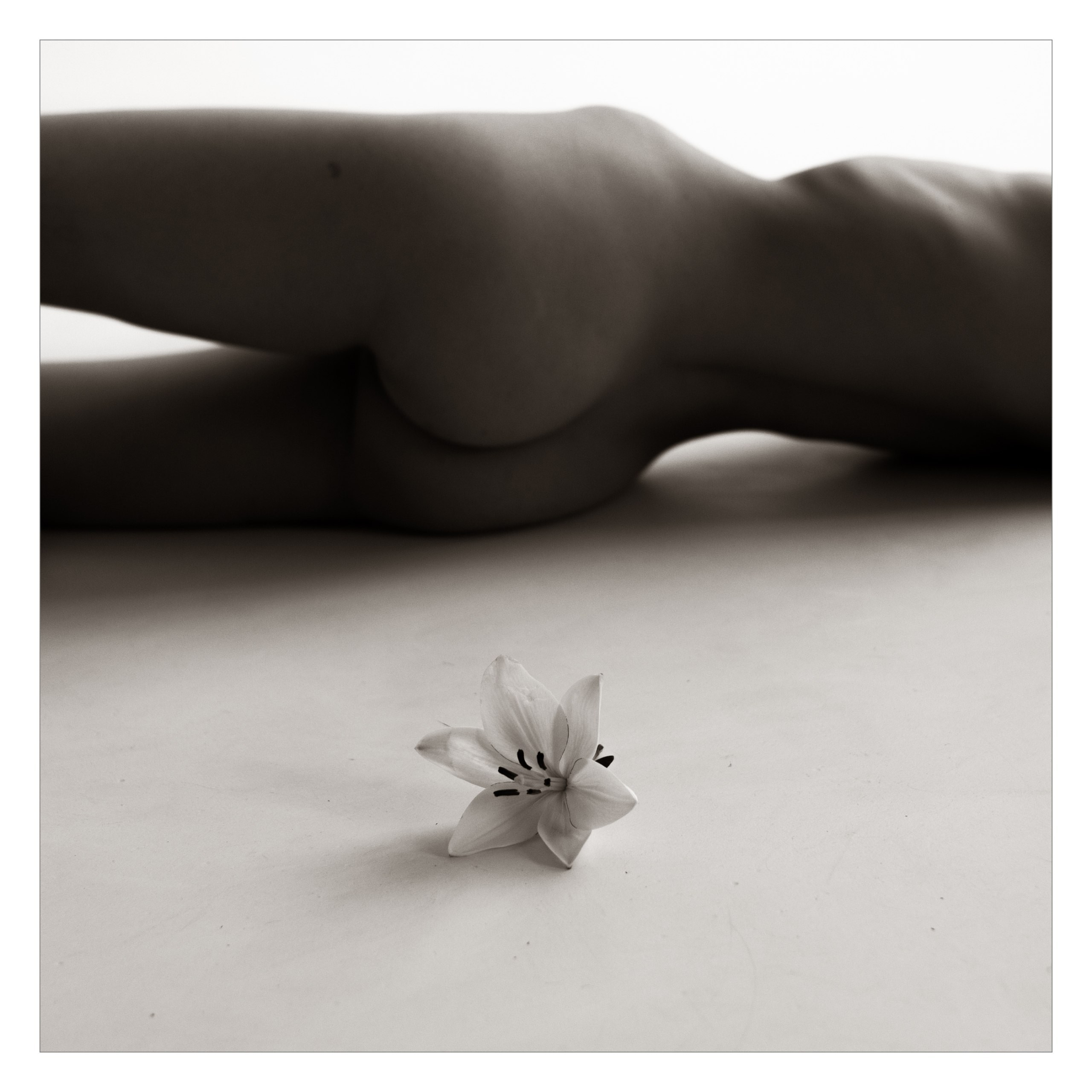 Обнаженная пластическая фотография. Мастерская Демченко