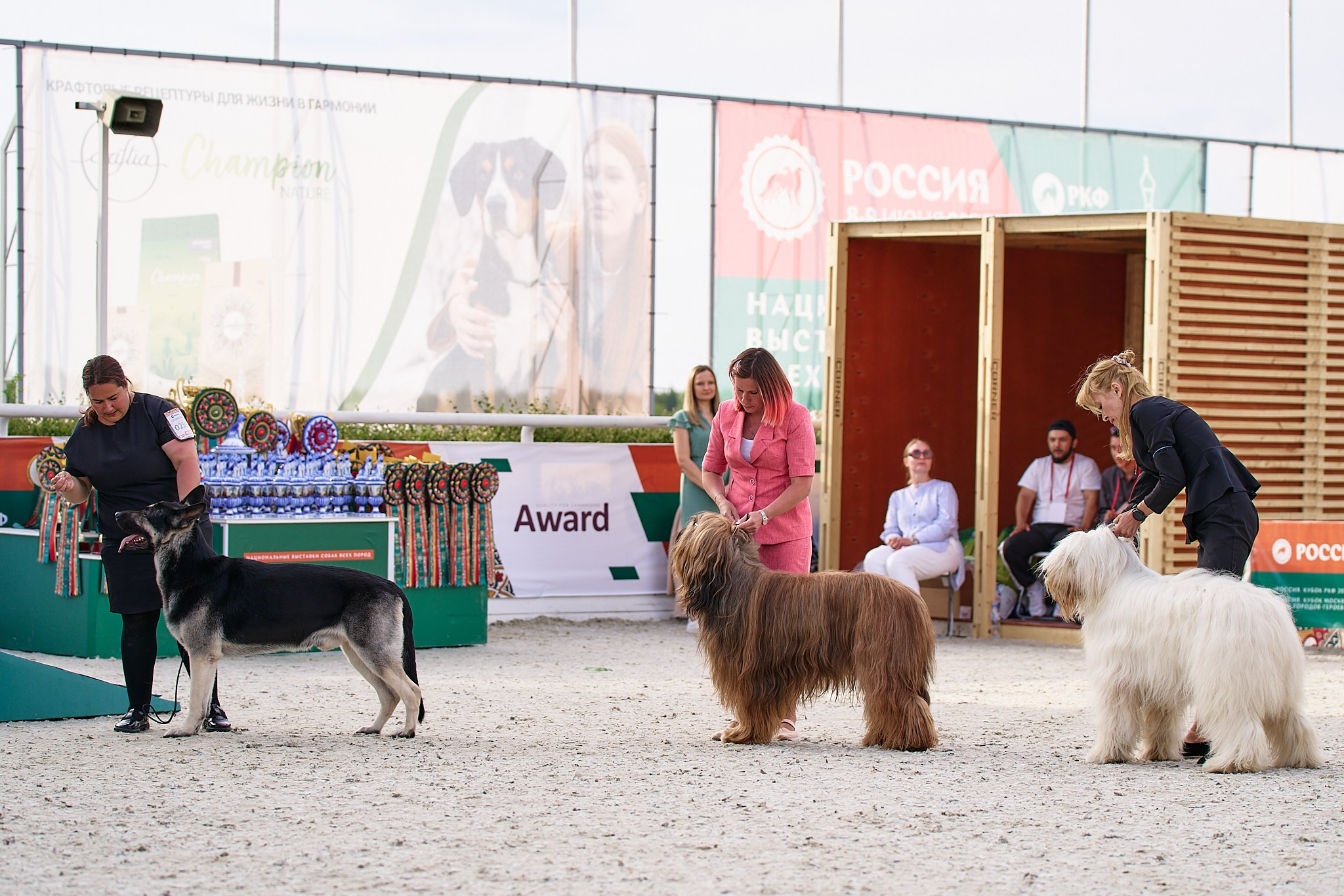 09.06.2024, «РОССИЯ. КУБОК МОСКВЫ 2024 & КУБОК ГОРОДОВ-ГЕРОЕВ»