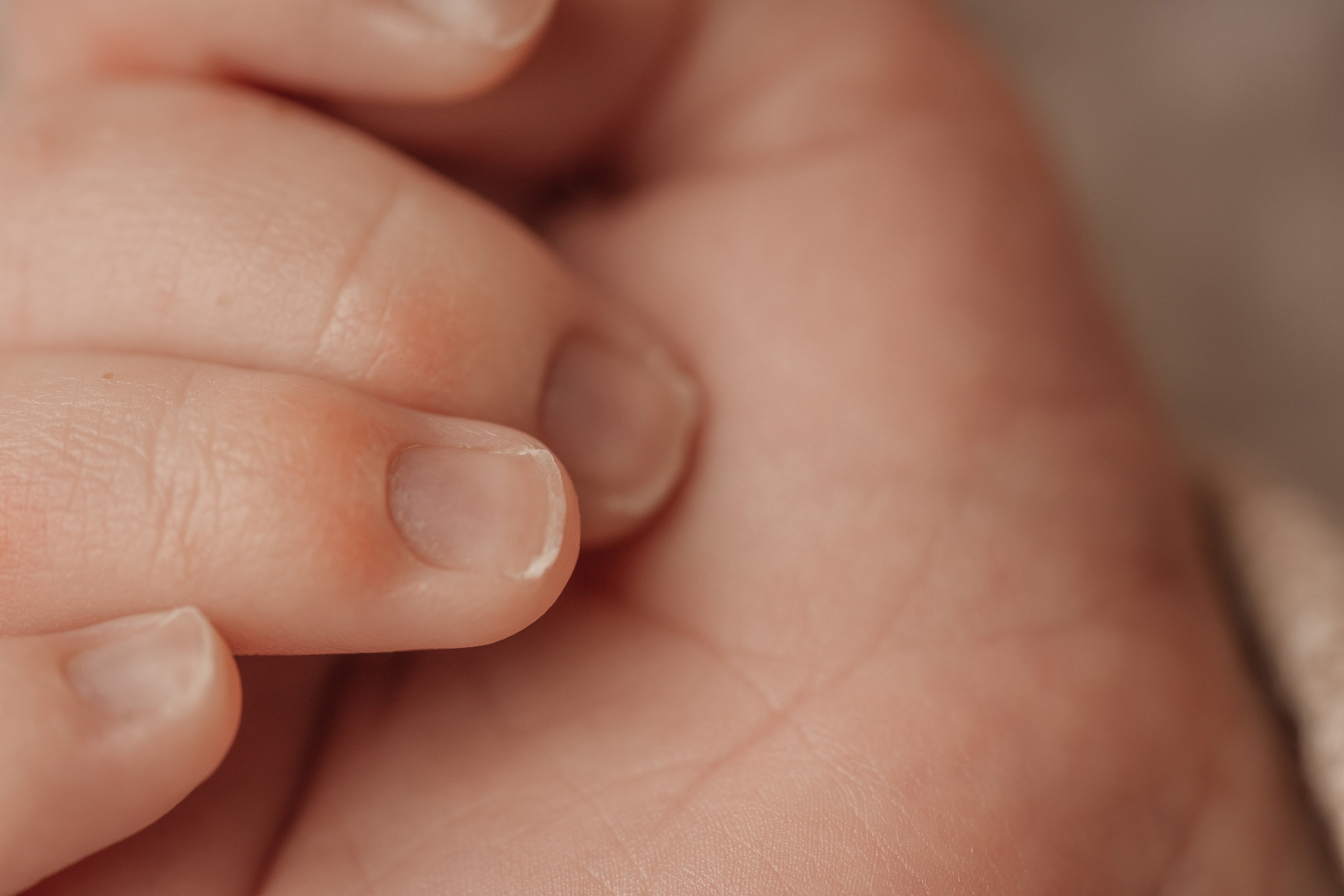 Newborn. Фотограф новорожденных в Москве, Зеленограде, МО, Дмитриева Дарья