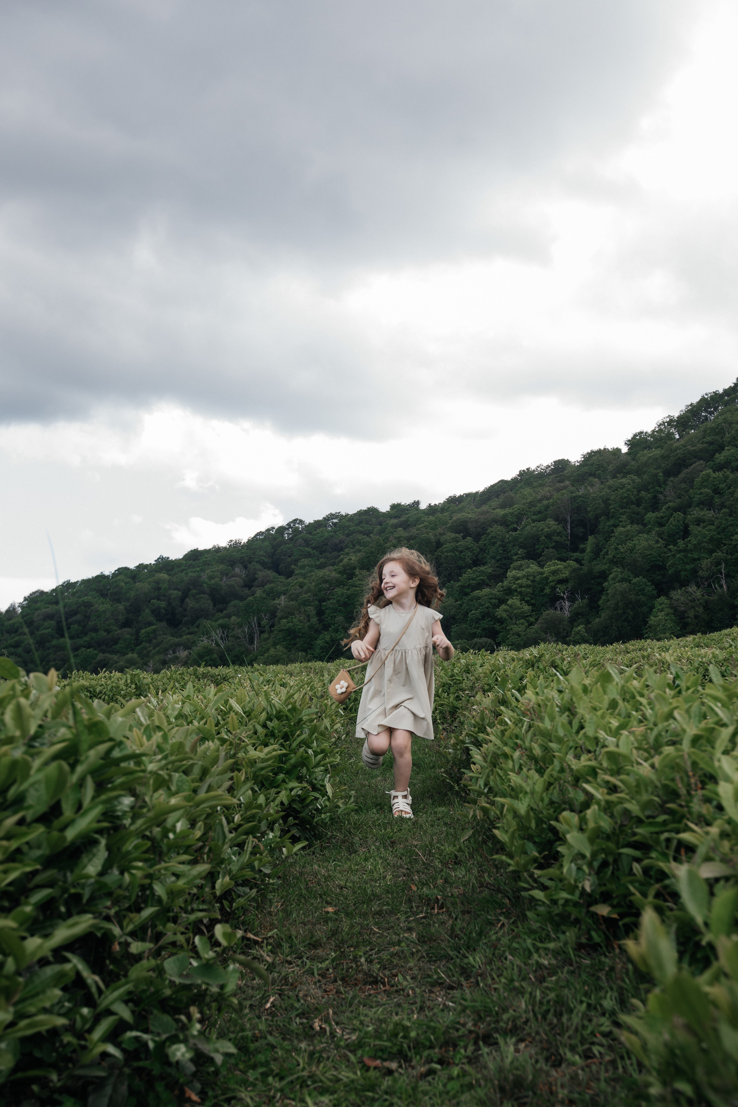 Tea plantation. Efimova Model Agency