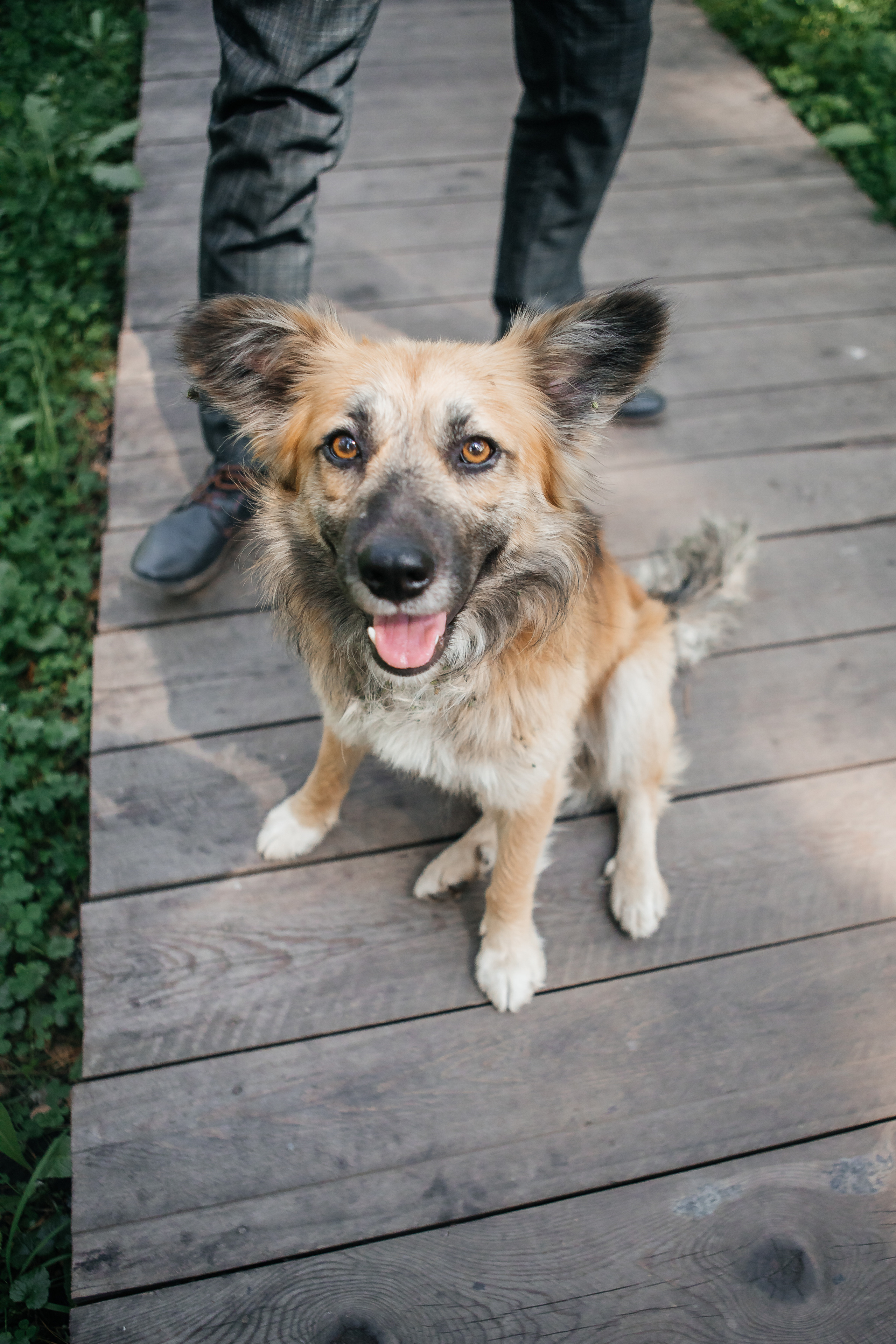 Свадебная фотосессия в горах. Дарья Белякова. Свадебный, детский и семейный фотограф в городе Бийск