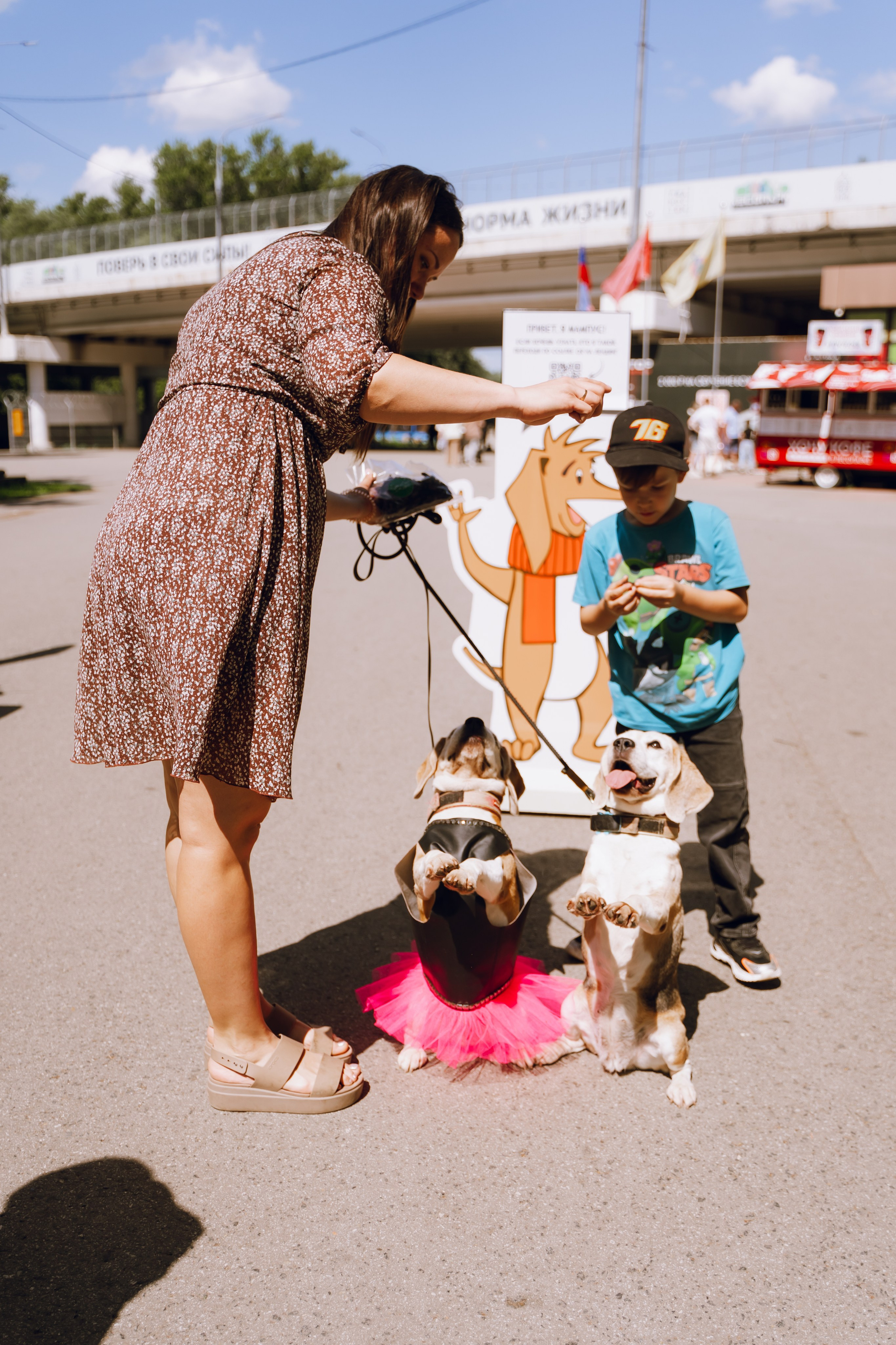 Площадка фестиваля «Мампус и его друзья» в Лесопарке 2025. Фотограф Надежда Погребняк | Рязань | Москва