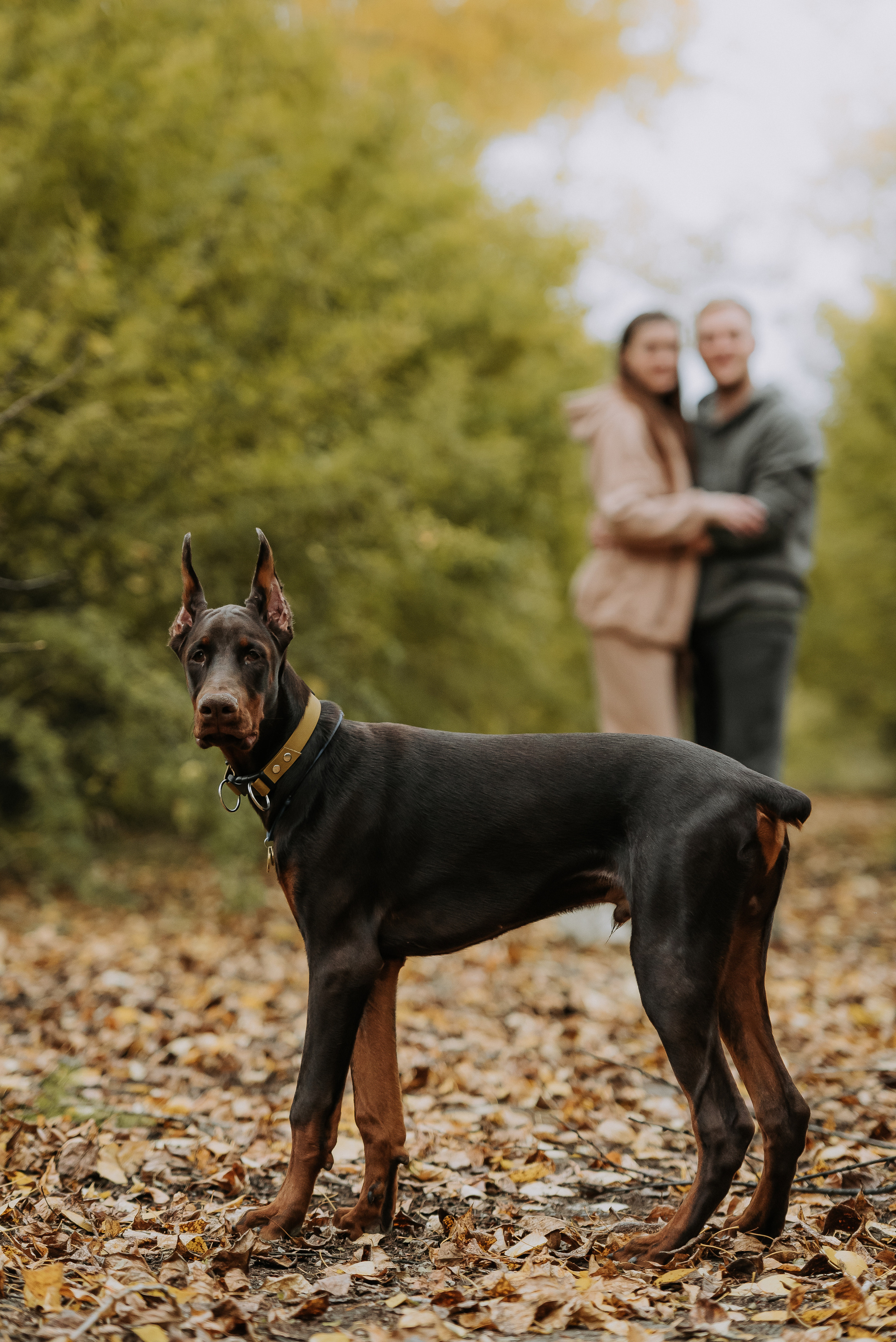 Натали&Евгений и Юстос. Фотограф Диана Оленина Красноярск / Братск
