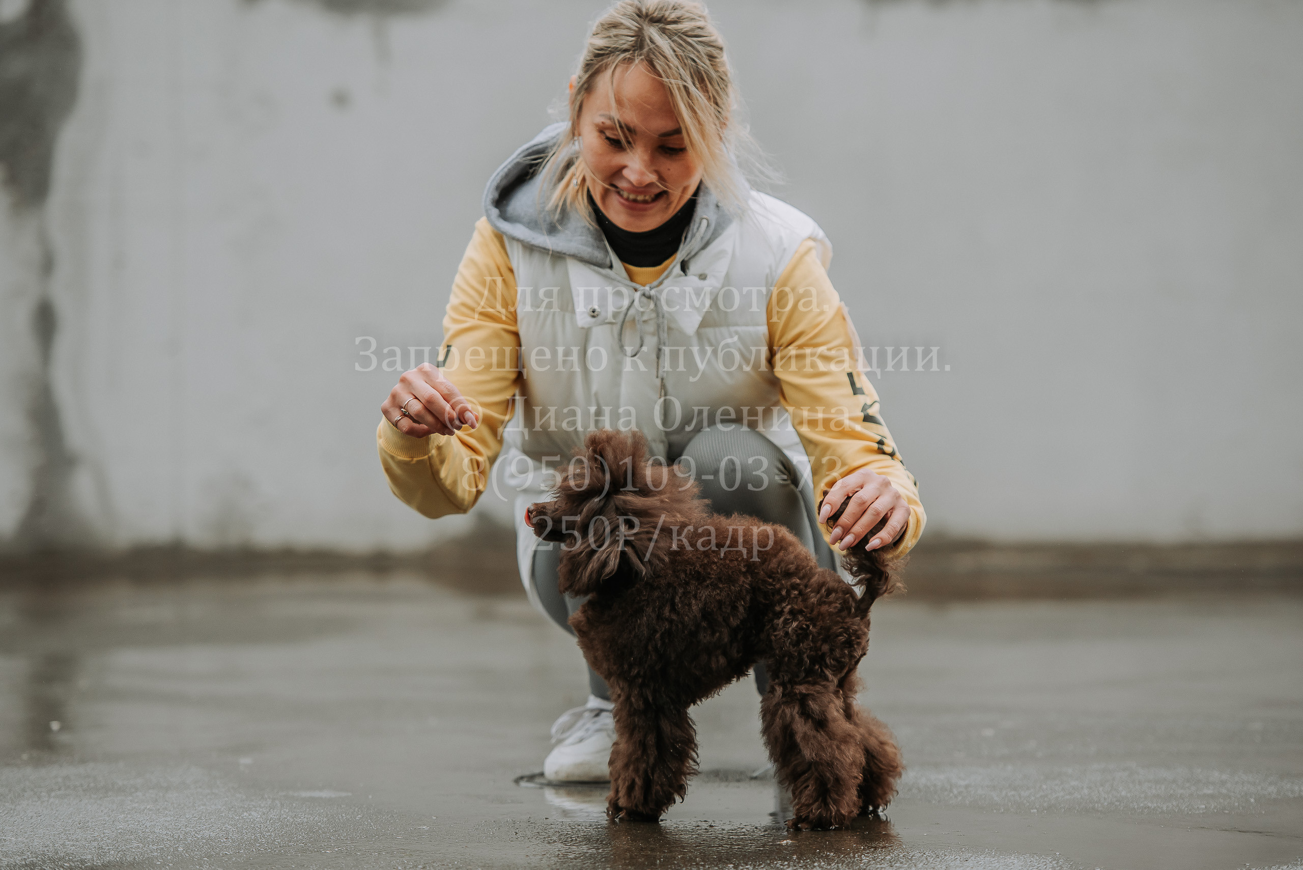 Выставка собак Братск 3 сентября 2022 Фаворит. Фотограф Диана Оленина Красноярск / Братск