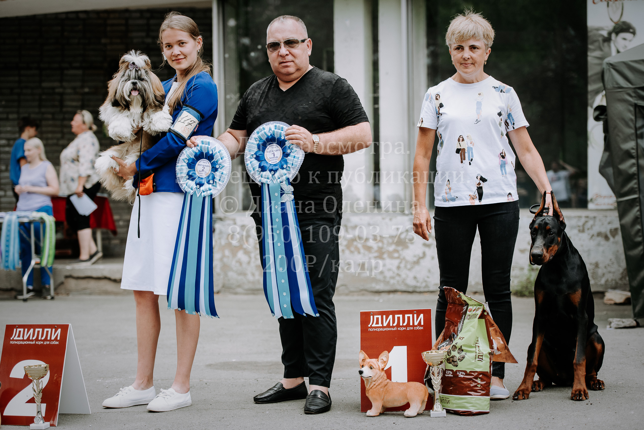 25 июня 2022 г. Братск БГОО КЛС Континенталь. Выставка собак. Фотограф Диана Оленина Красноярск / Братск