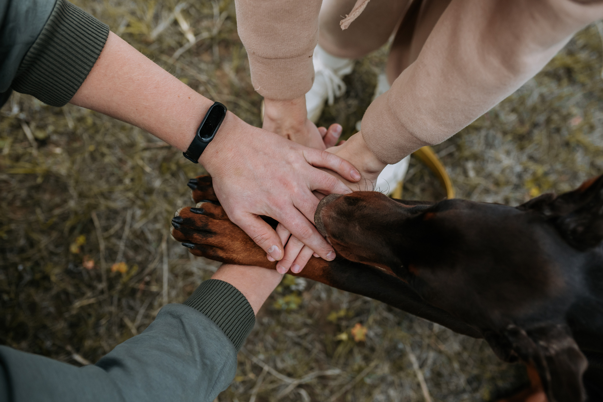 Натали&Евгений и Юстос. Фотограф Диана Оленина Красноярск / Братск