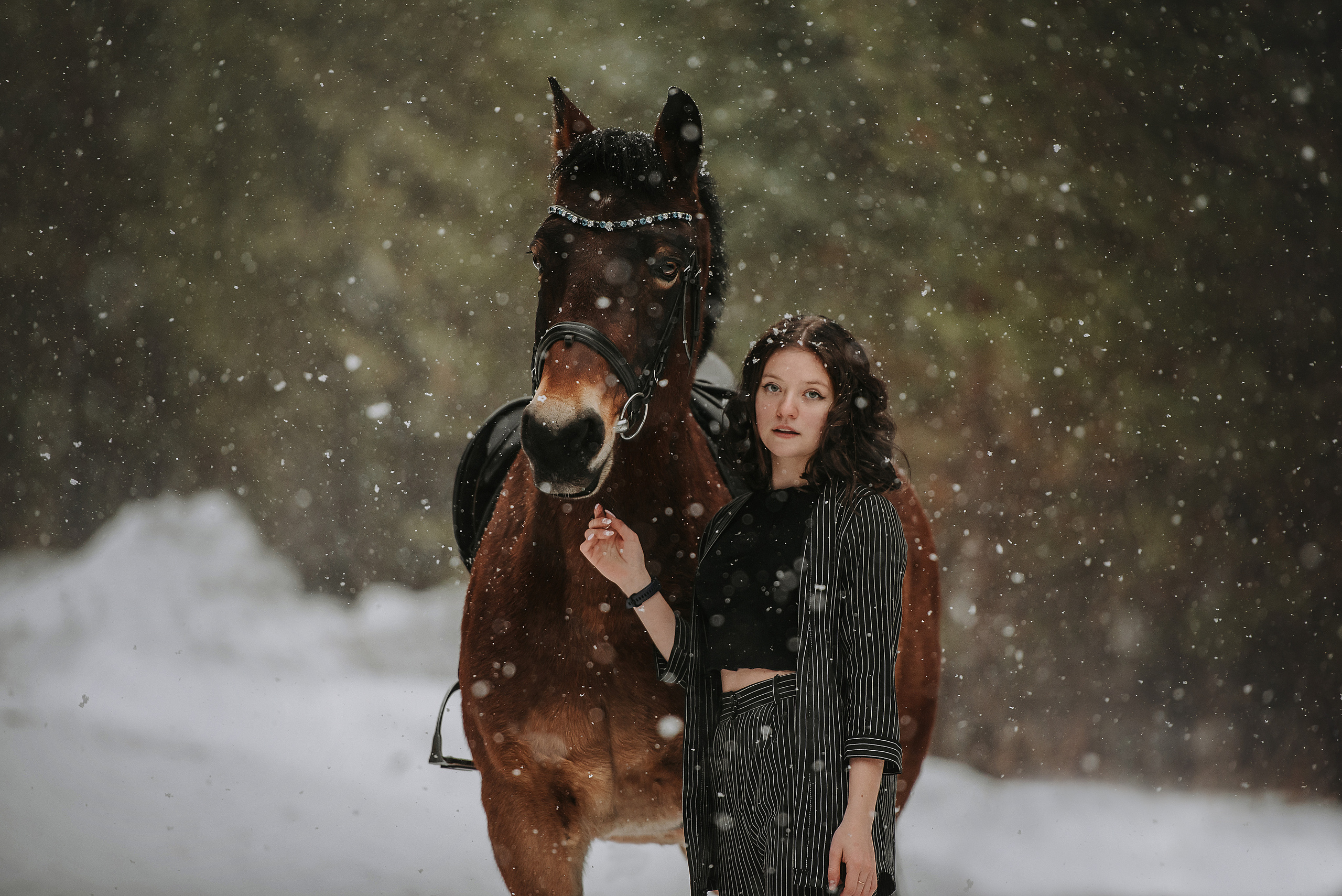 Конный мир. Фотограф Диана Оленина Красноярск / Братск