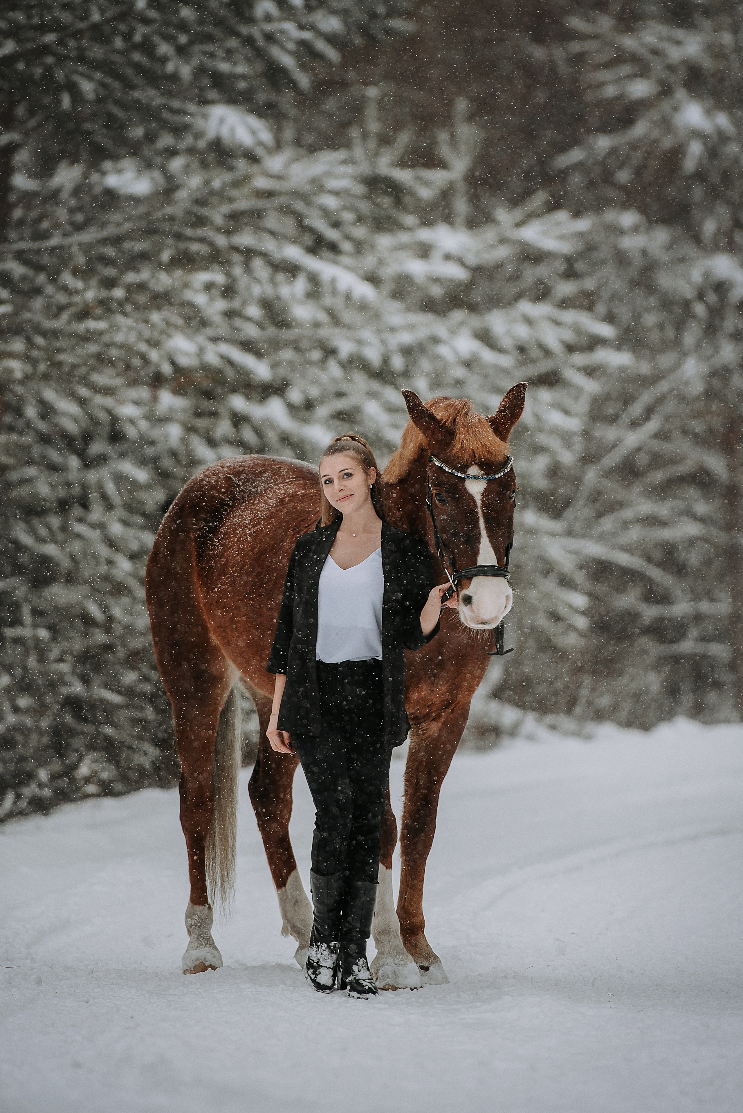 Конный мир. Фотограф Диана Оленина Красноярск / Братск