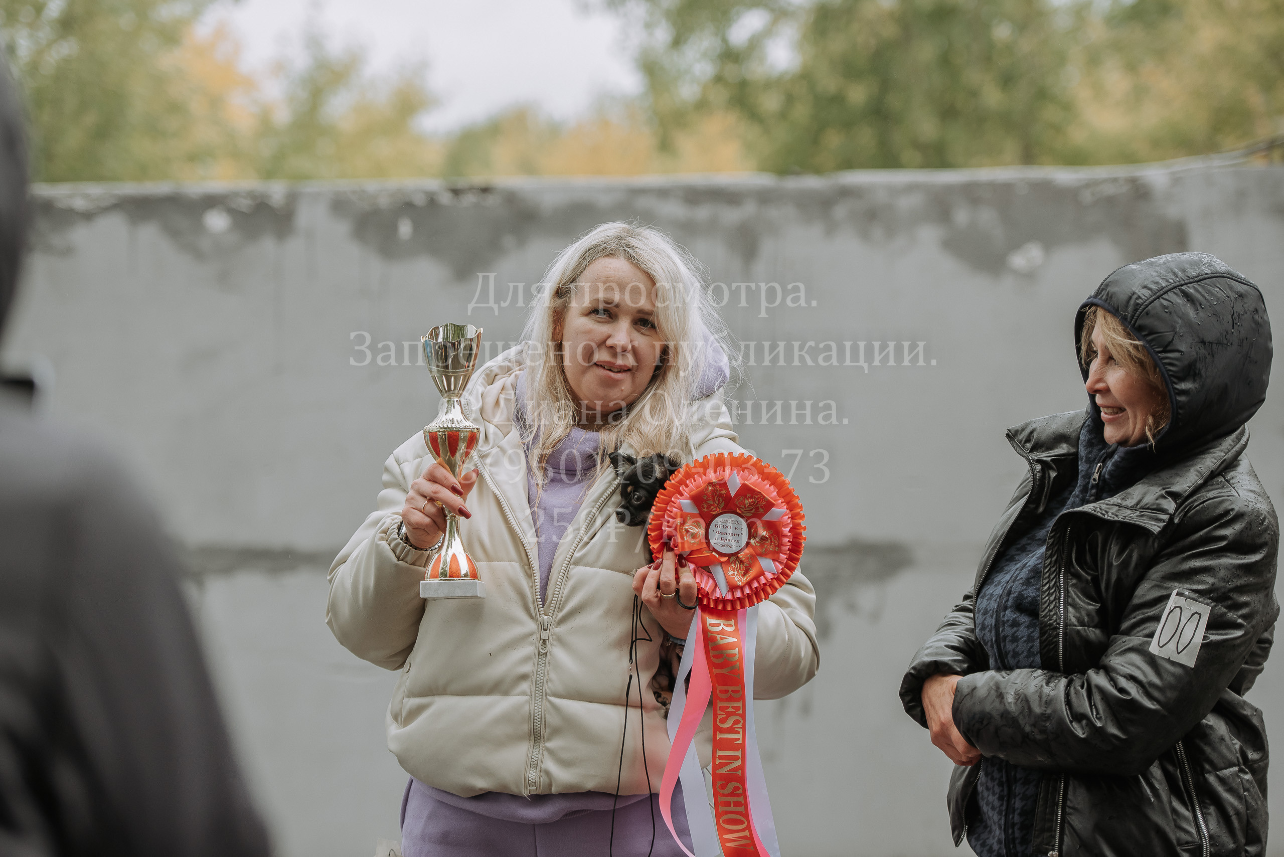 Выставка собак Братск 3 сентября 2022 Фаворит. Фотограф Диана Оленина Красноярск / Братск