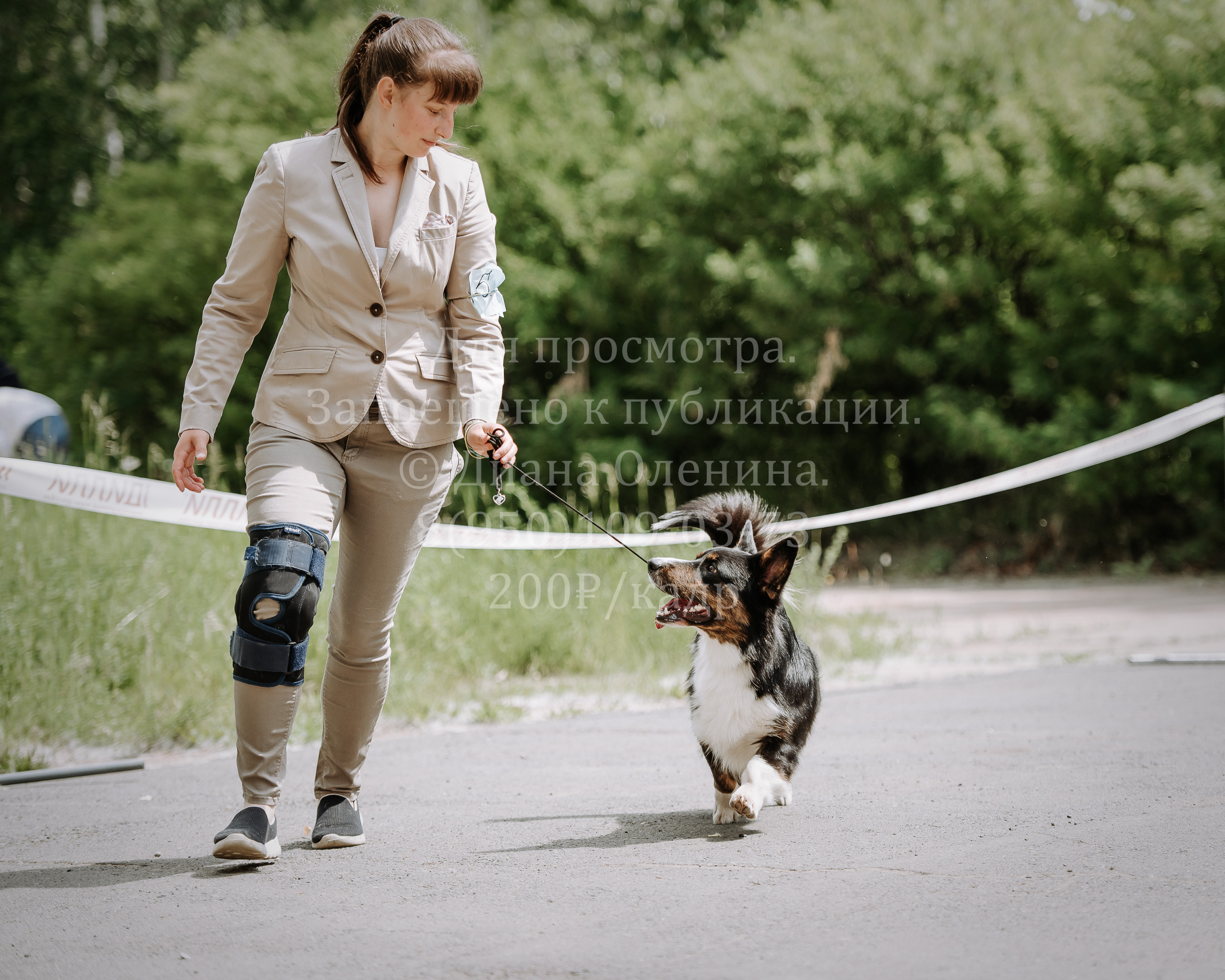 25 июня 2022 г. Братск БГОО КЛС Континенталь. Выставка собак. Фотограф Диана Оленина Красноярск / Братск