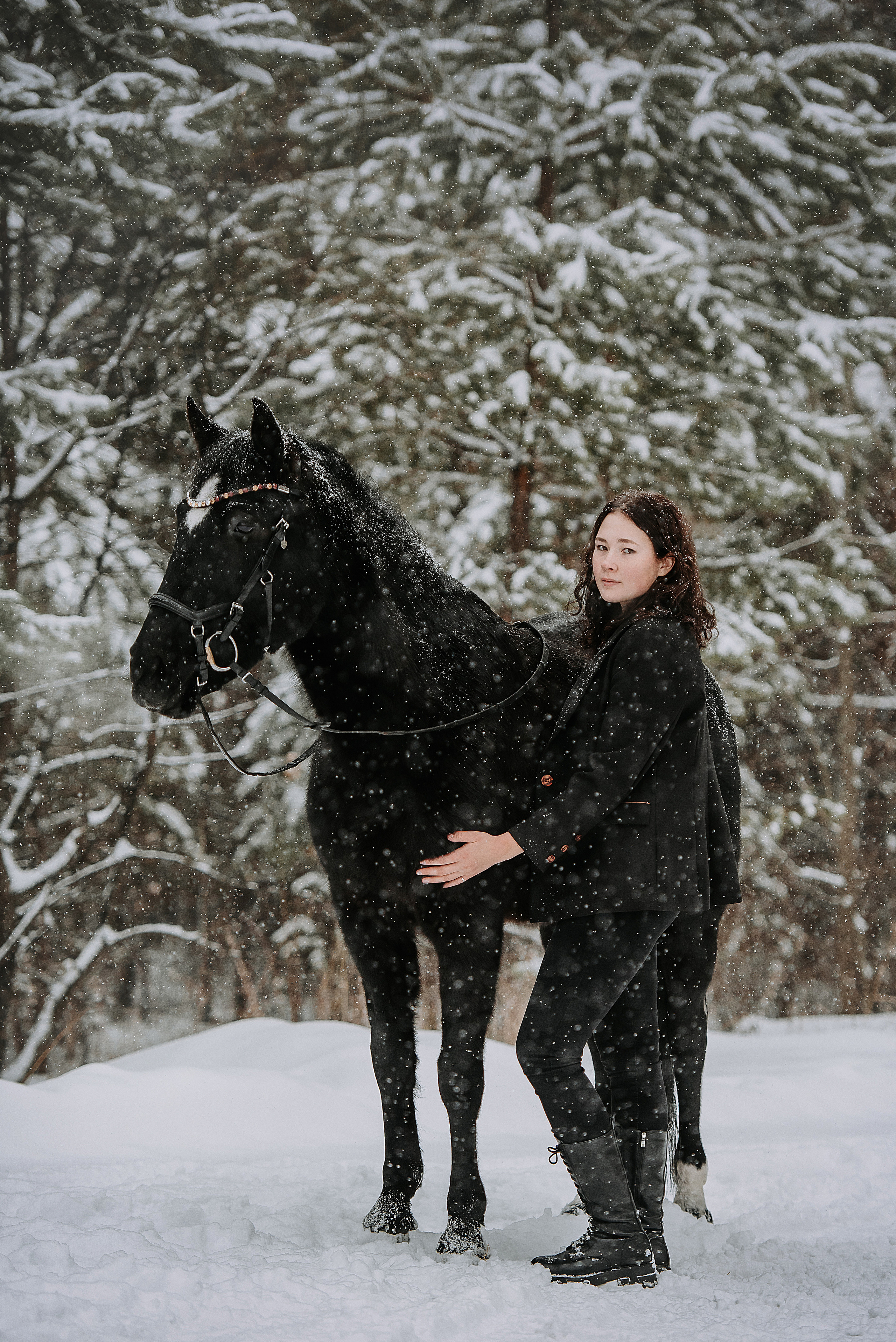 Конный мир. Фотограф Диана Оленина Красноярск / Братск