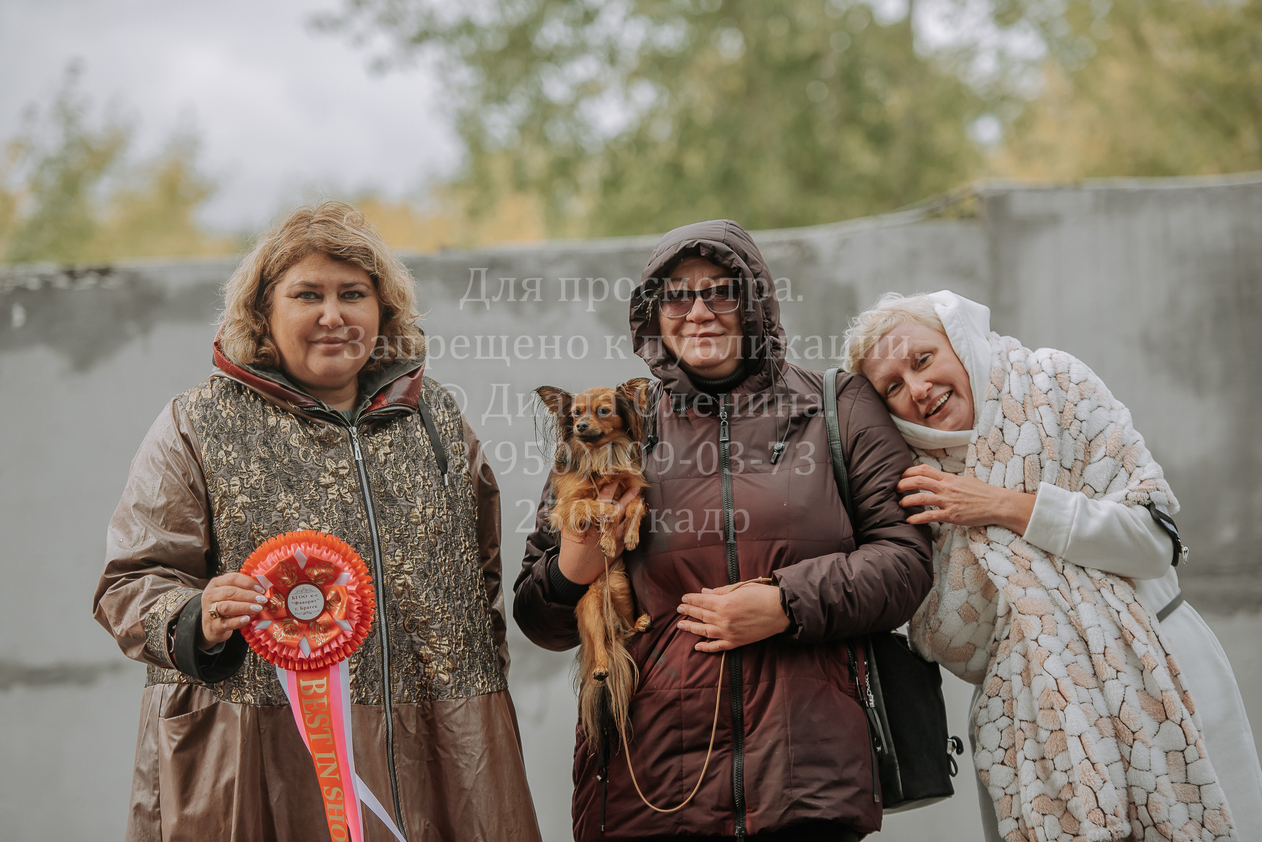 Выставка собак Братск 3 сентября 2022 Фаворит. Фотограф Диана Оленина Красноярск / Братск