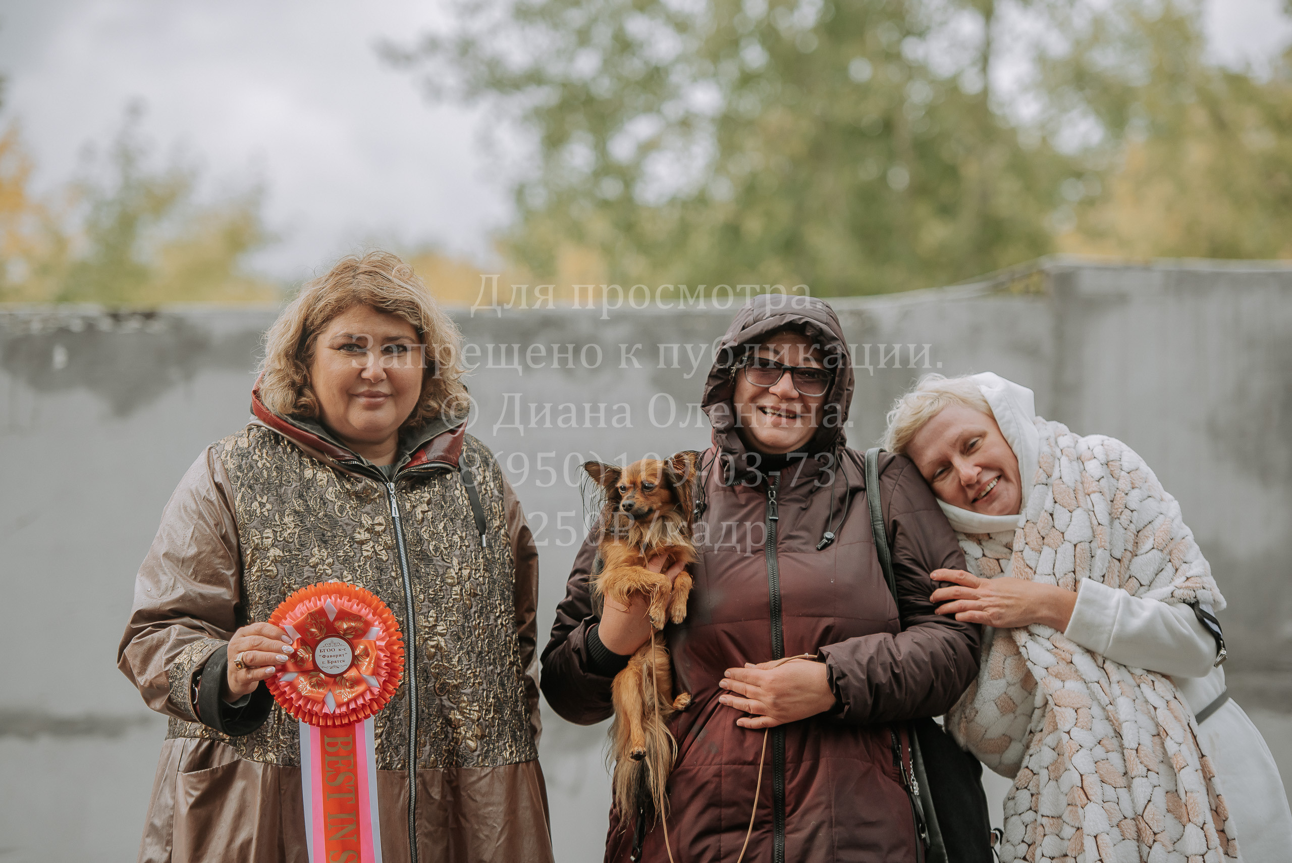 Выставка собак Братск 3 сентября 2022 Фаворит. Фотограф Диана Оленина Красноярск / Братск