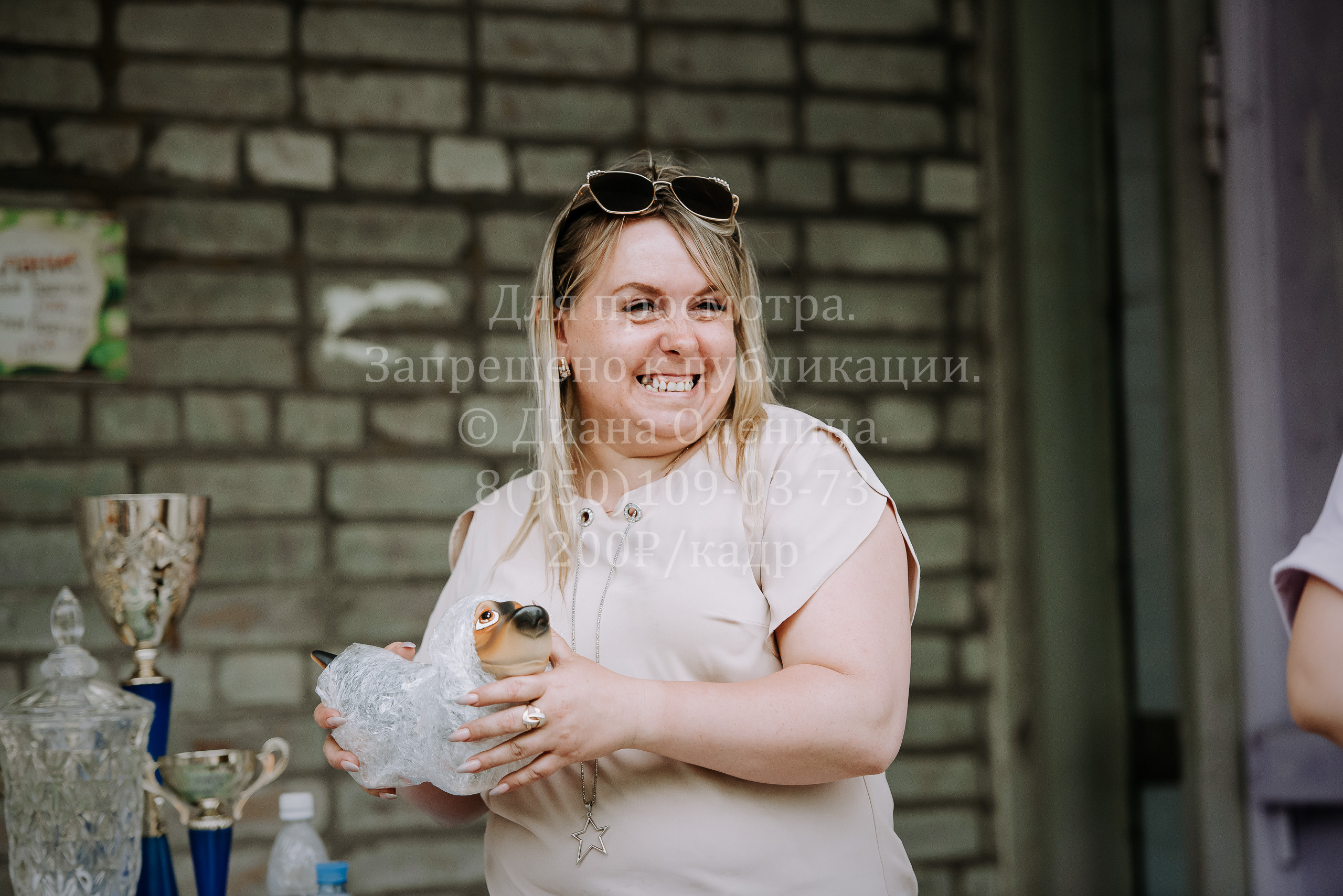 25 июня 2022 г. Братск БГОО КЛС Континенталь. Выставка собак. Фотограф Диана Оленина Красноярск / Братск