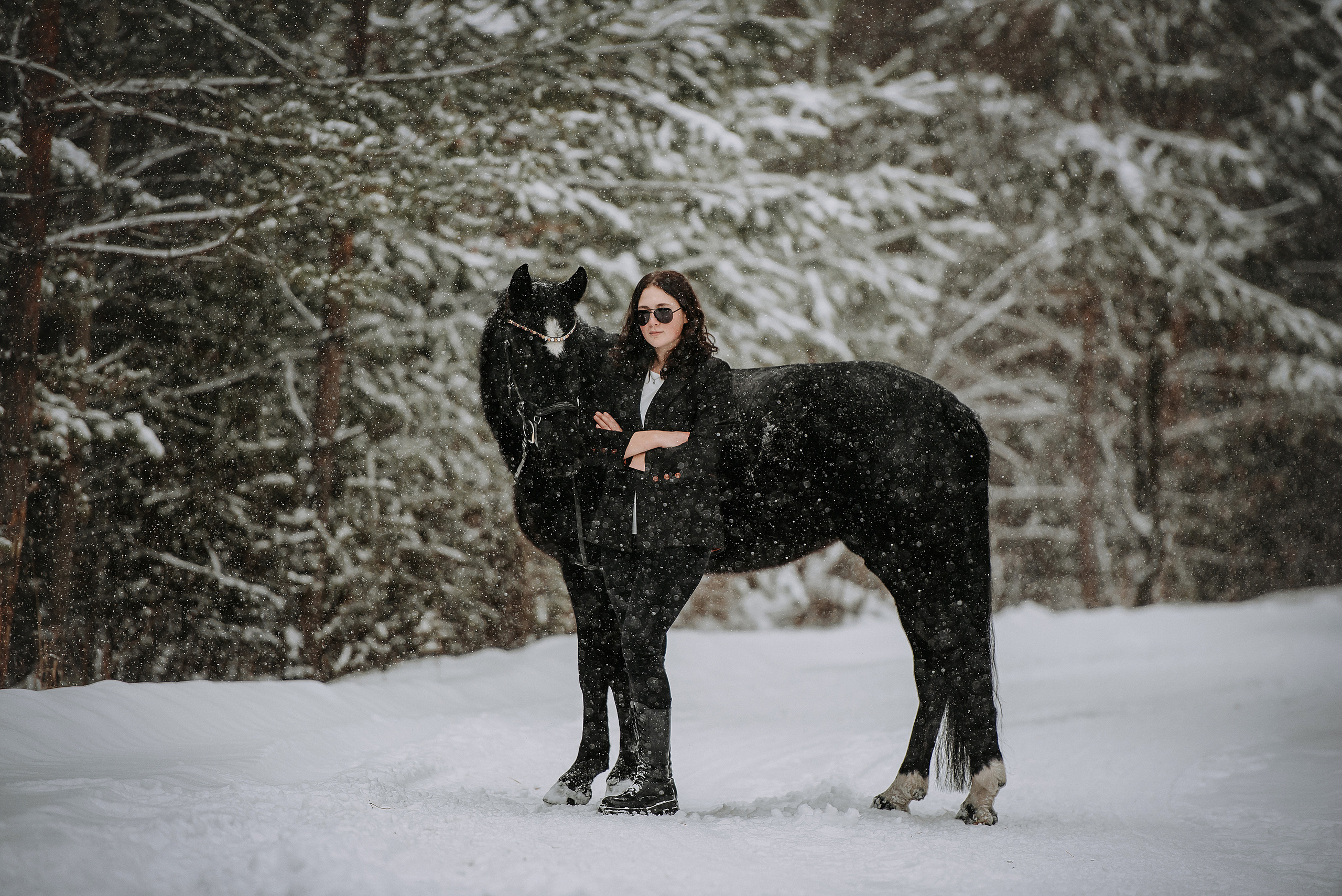 Конный мир. Фотограф Диана Оленина Красноярск / Братск