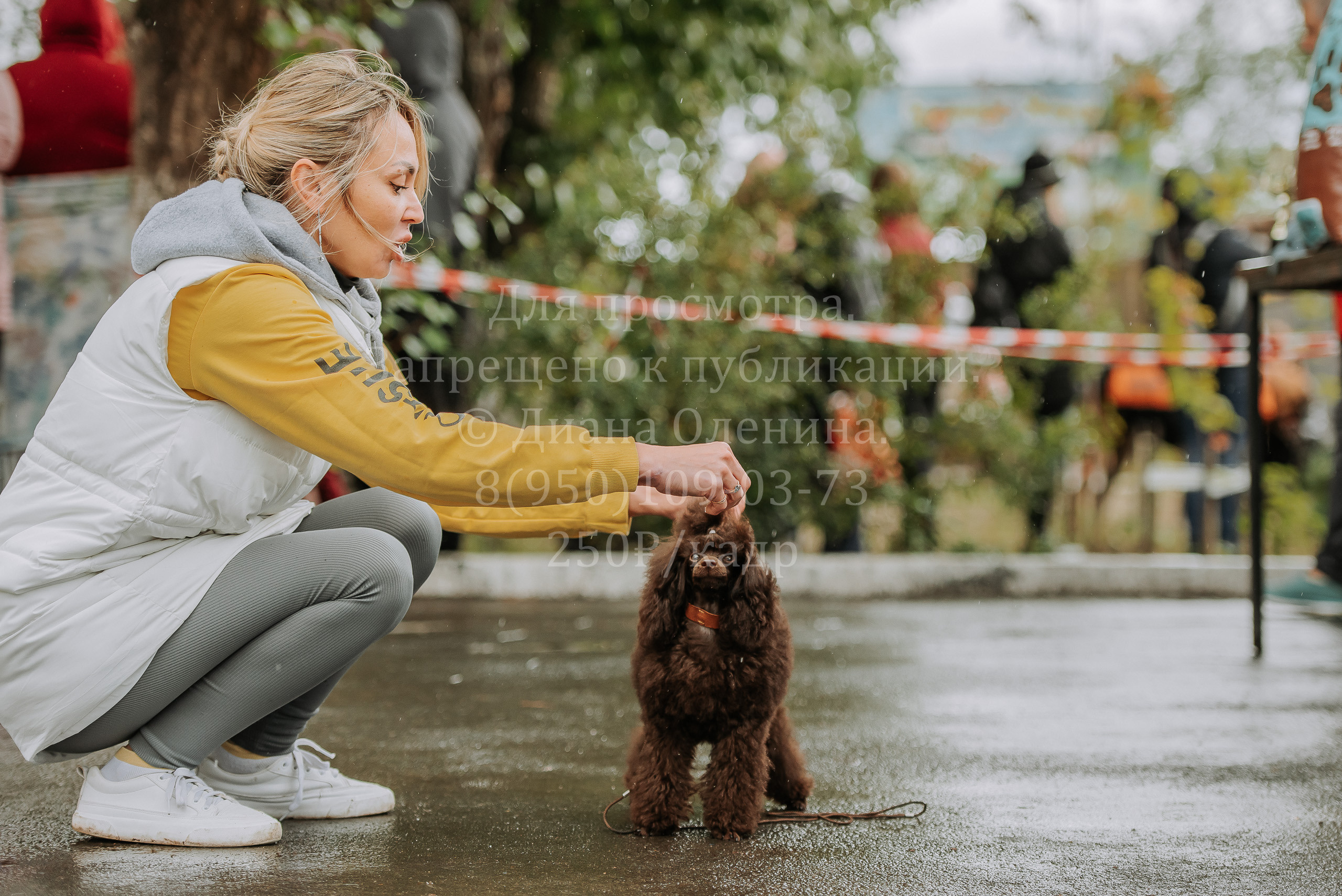 Выставка собак Братск 3 сентября 2022 Фаворит. Фотограф Диана Оленина Красноярск / Братск