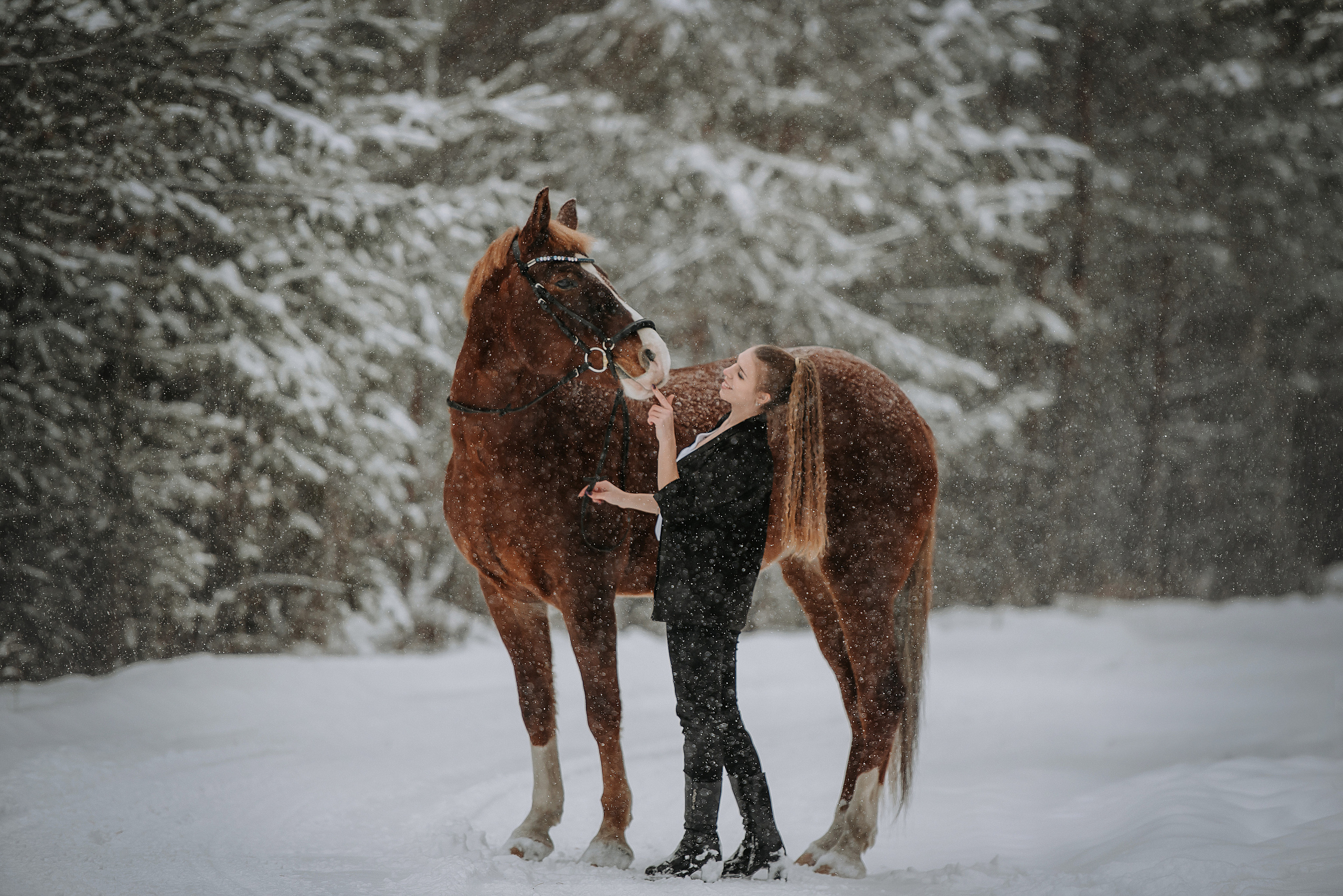 Конный мир. Фотограф Диана Оленина Красноярск / Братск