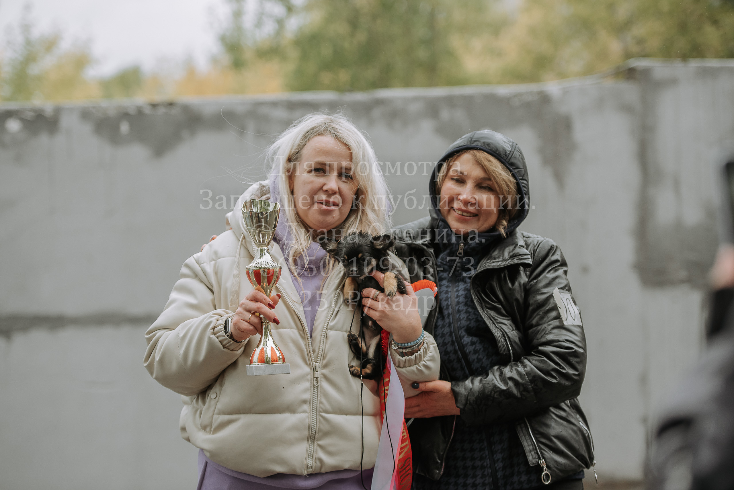 Выставка собак Братск 3 сентября 2022 Фаворит. Фотограф Диана Оленина Красноярск / Братск