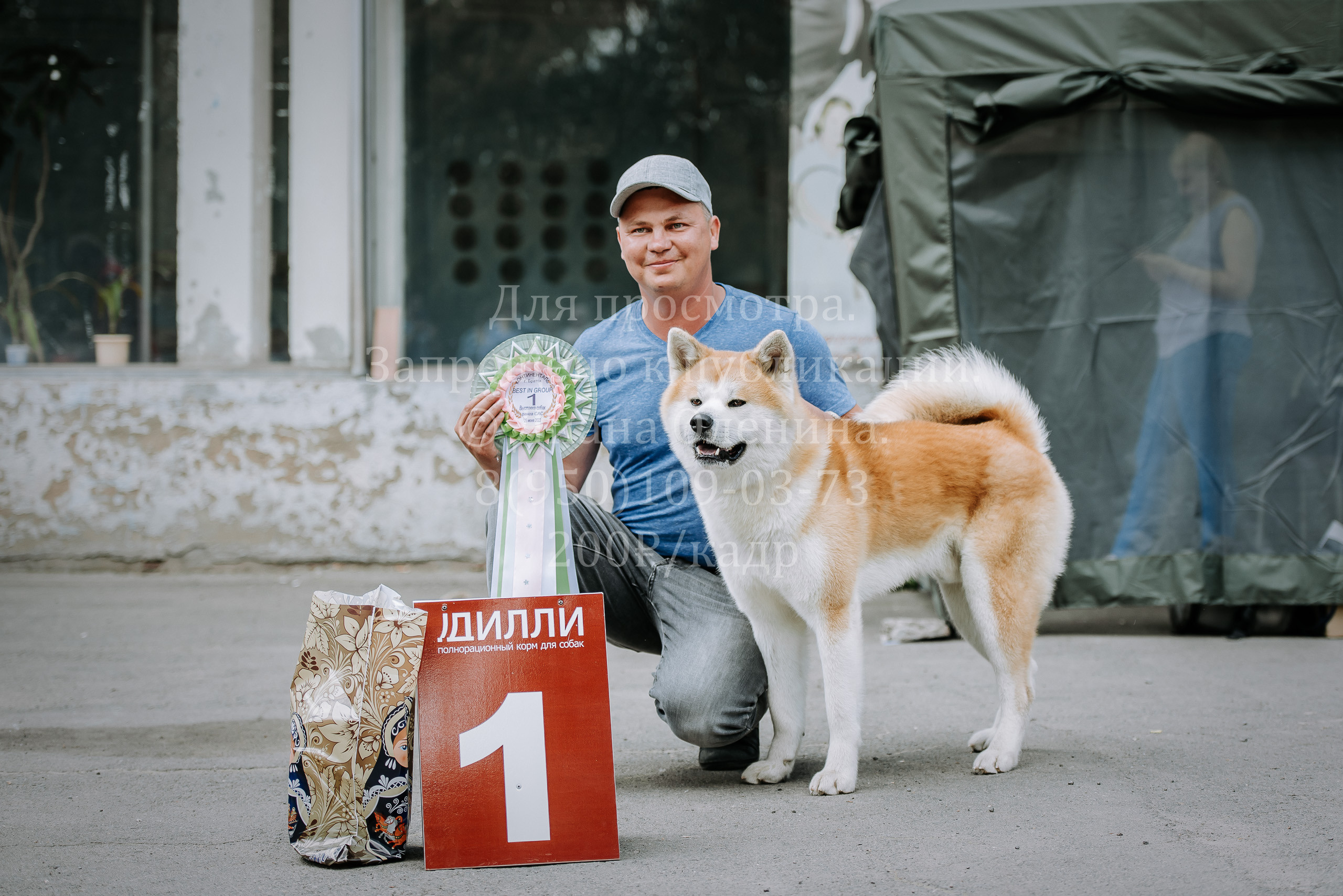 25 июня 2022 г. Братск БГОО КЛС Континенталь. Выставка собак. Фотограф Диана Оленина Красноярск / Братск