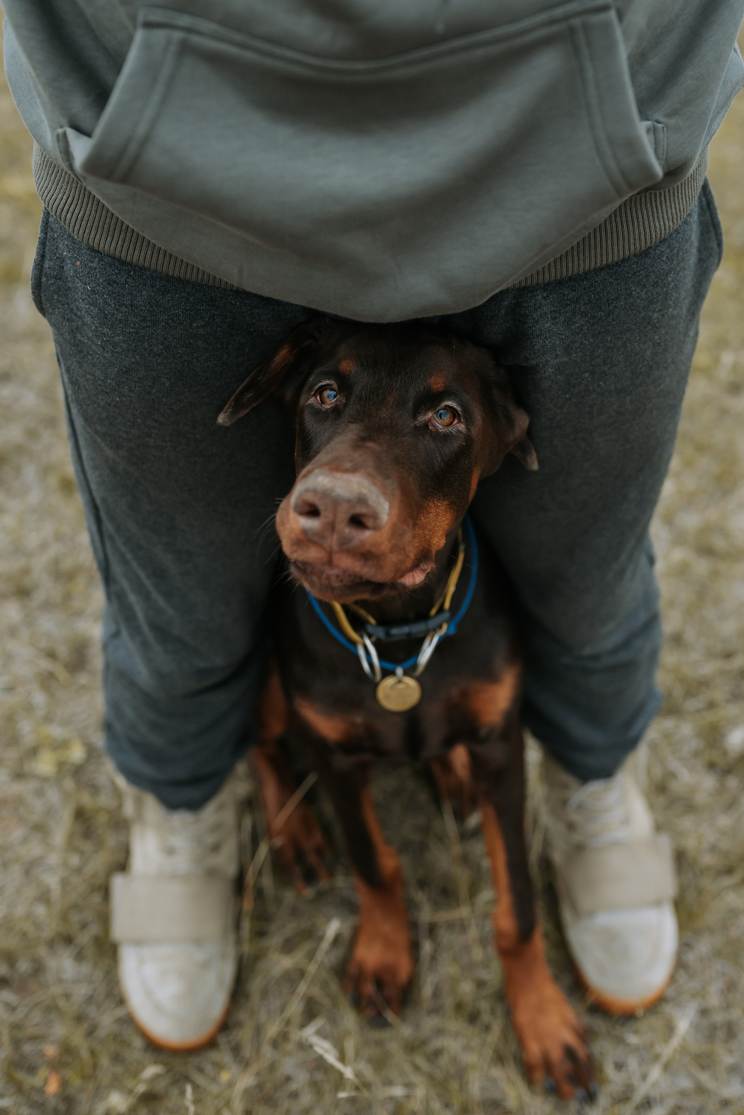 Натали&Евгений и Юстос. Фотограф Диана Оленина Красноярск / Братск