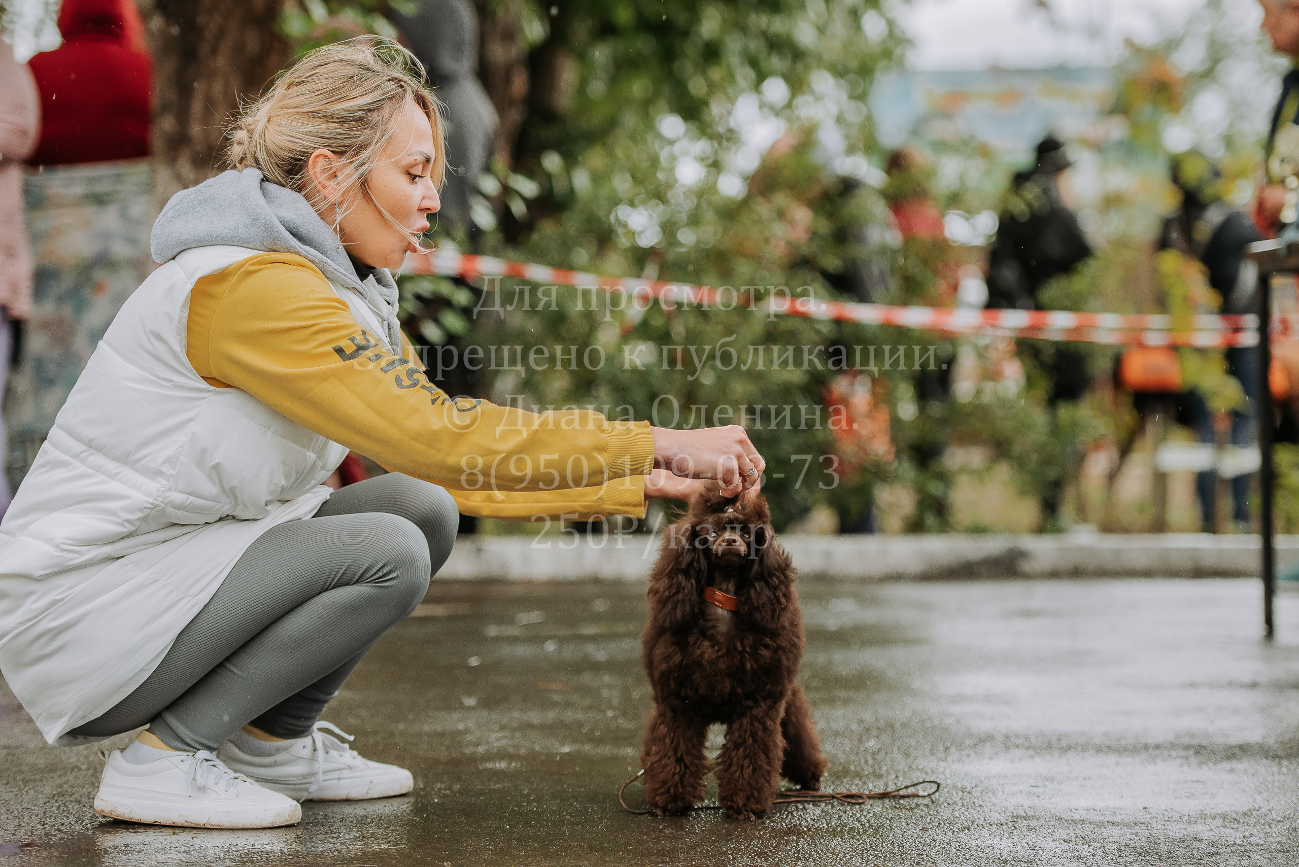 Выставка собак Братск 3 сентября 2022 Фаворит. Фотограф Диана Оленина Красноярск / Братск