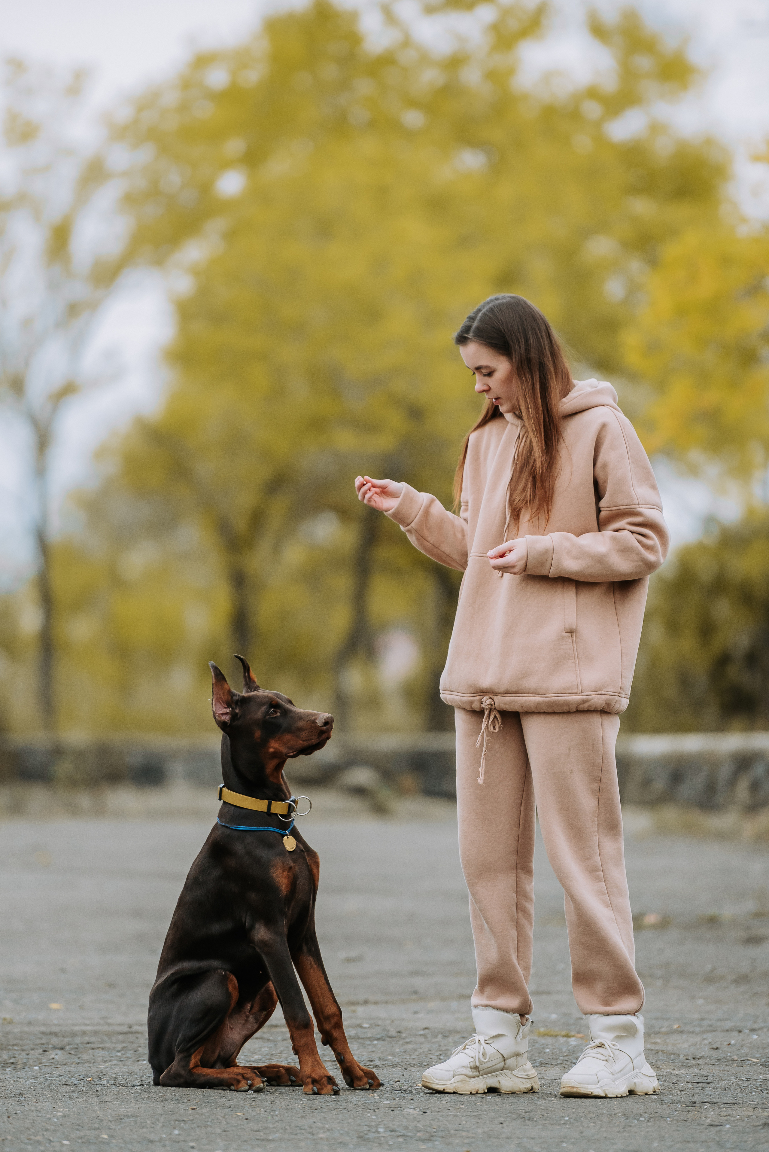 Натали&Евгений и Юстос. Фотограф Диана Оленина Красноярск / Братск