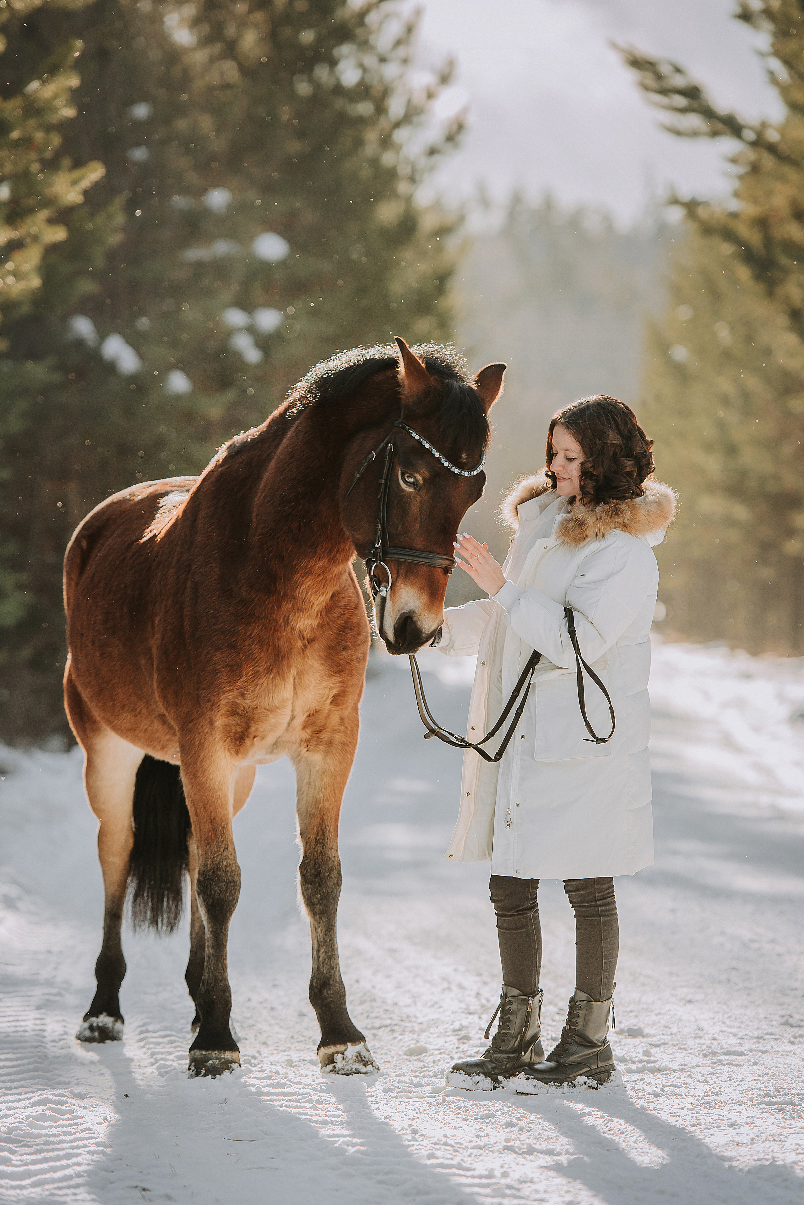 Конный мир. Фотограф Диана Оленина Красноярск / Братск