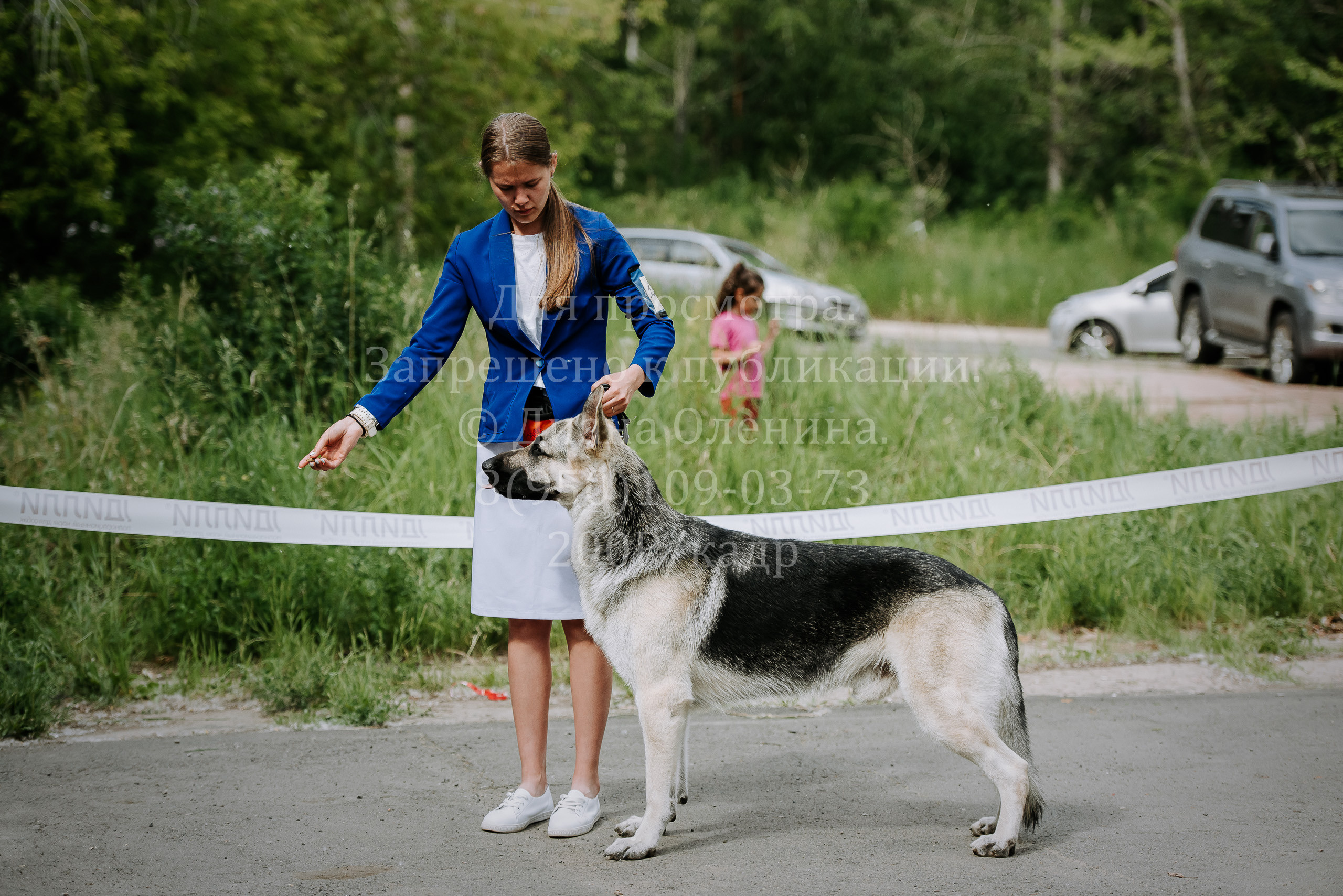 25 июня 2022 г. Братск БГОО КЛС Континенталь. Выставка собак. Фотограф Диана Оленина Красноярск / Братск