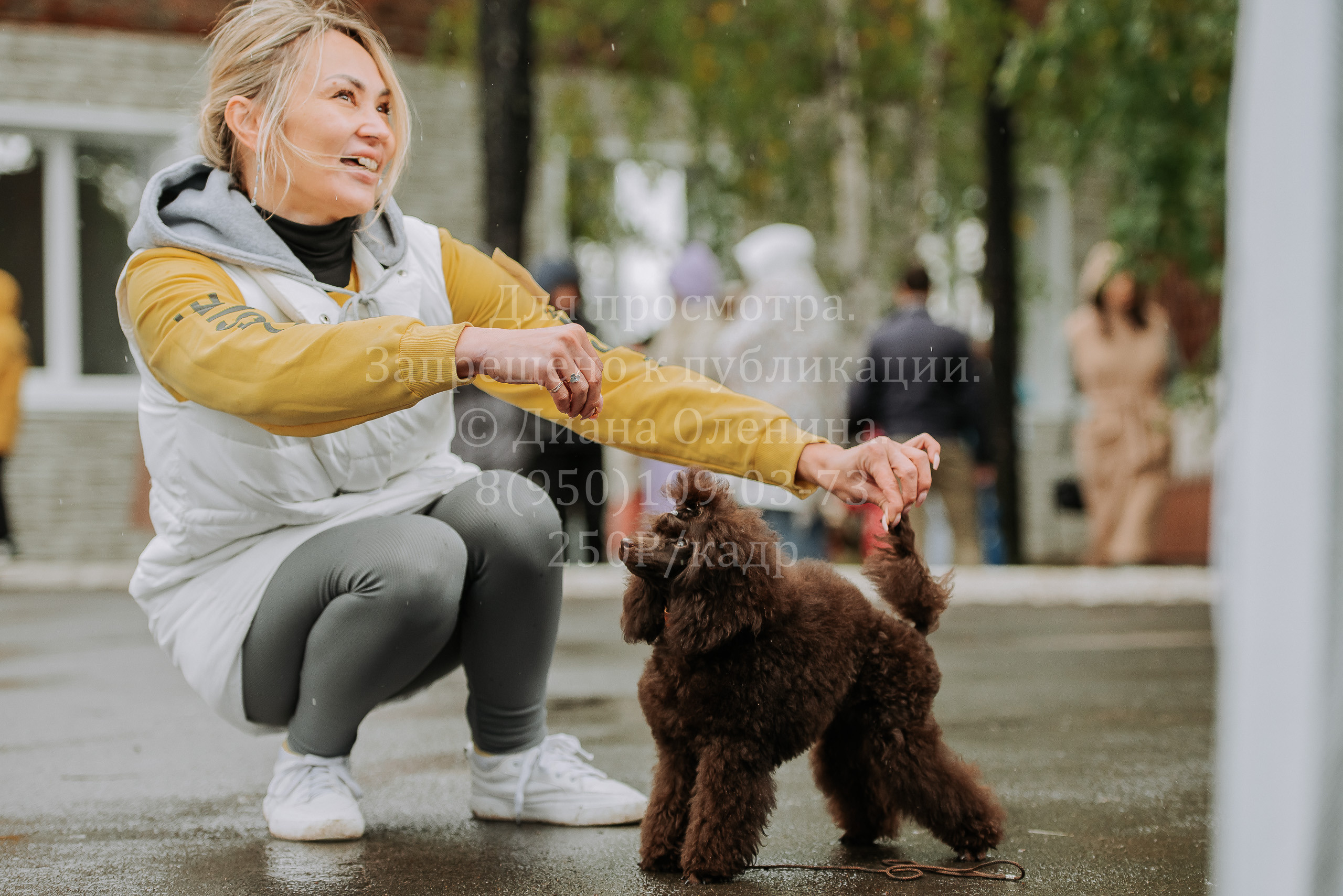 Выставка собак Братск 3 сентября 2022 Фаворит. Фотограф Диана Оленина Красноярск / Братск