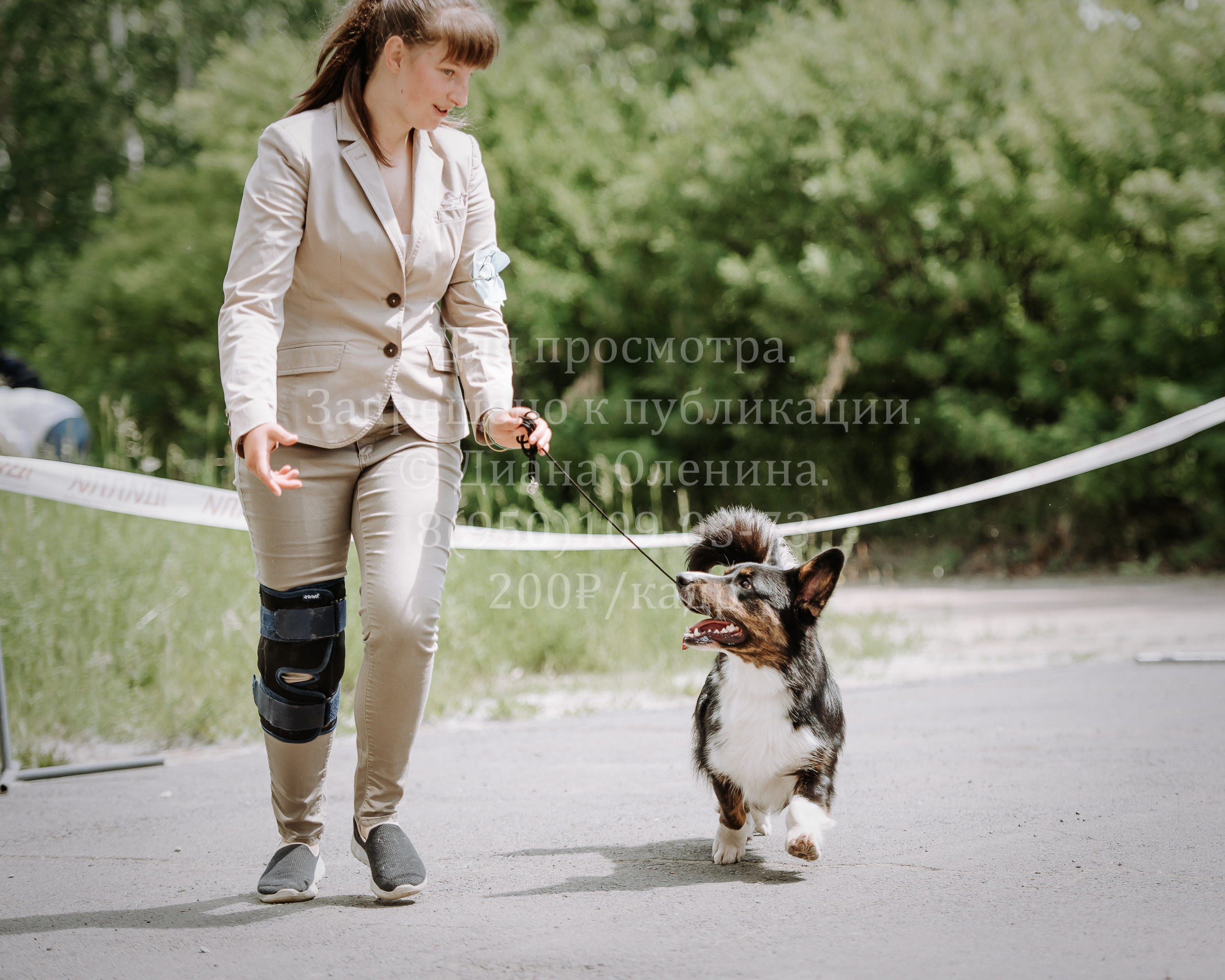 25 июня 2022 г. Братск БГОО КЛС Континенталь. Выставка собак. Фотограф Диана Оленина Красноярск / Братск