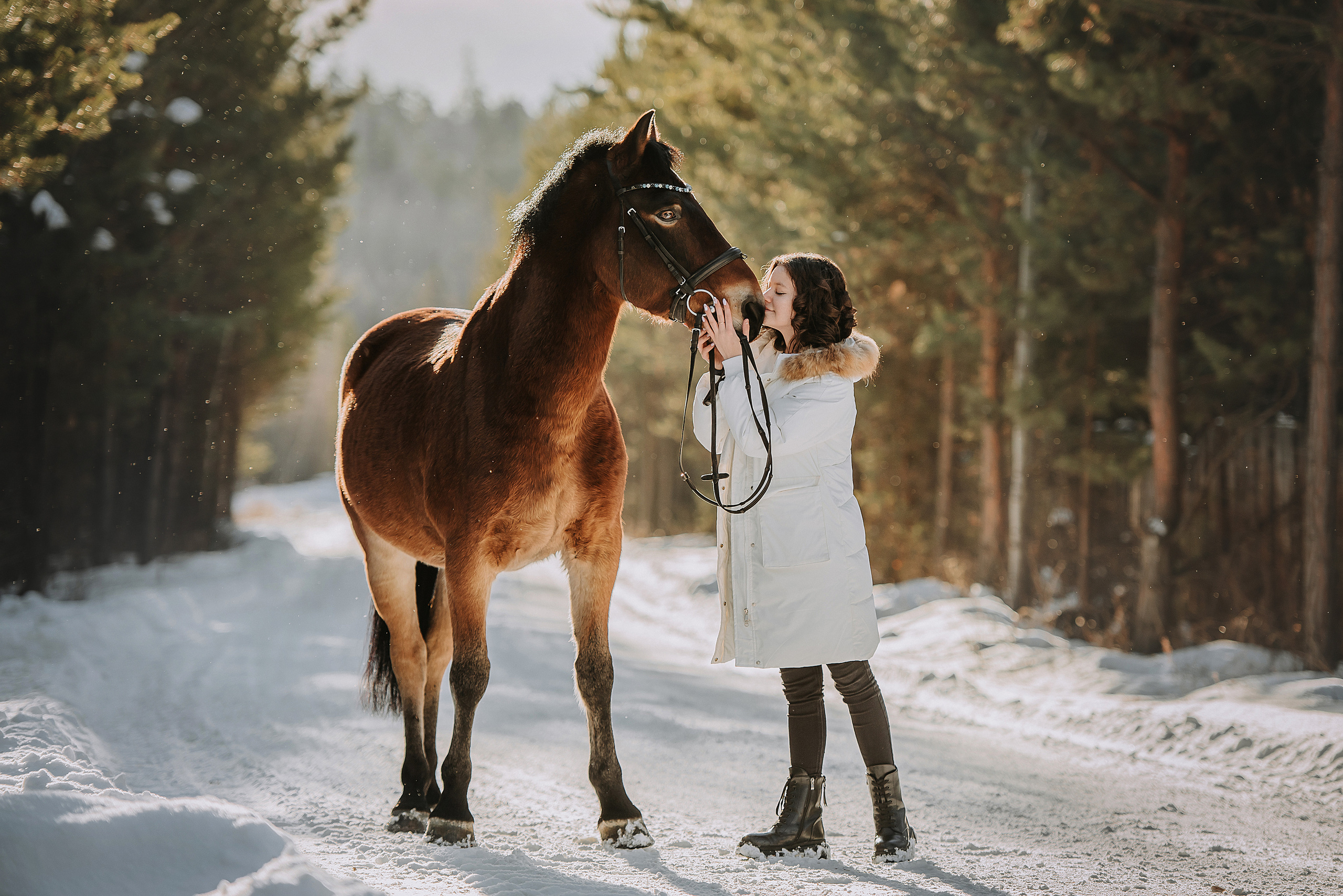 Конный мир. Фотограф Диана Оленина Красноярск / Братск