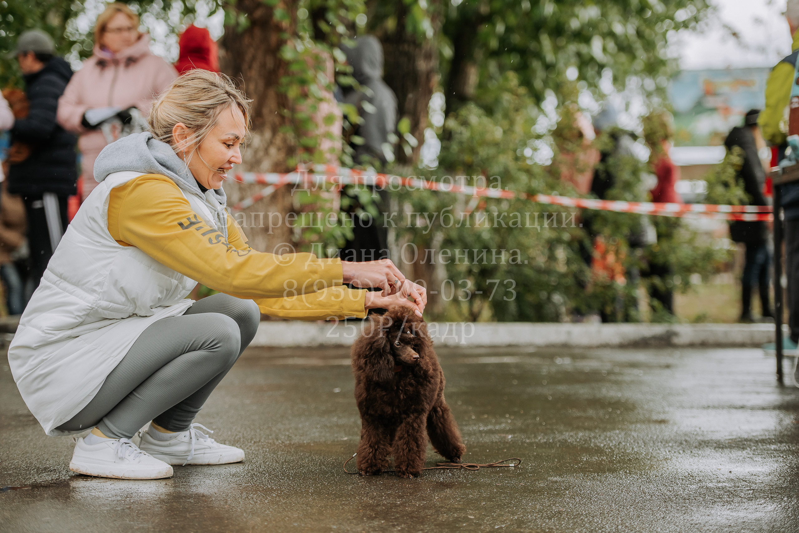 Выставка собак Братск 3 сентября 2022 Фаворит. Фотограф Диана Оленина Красноярск / Братск