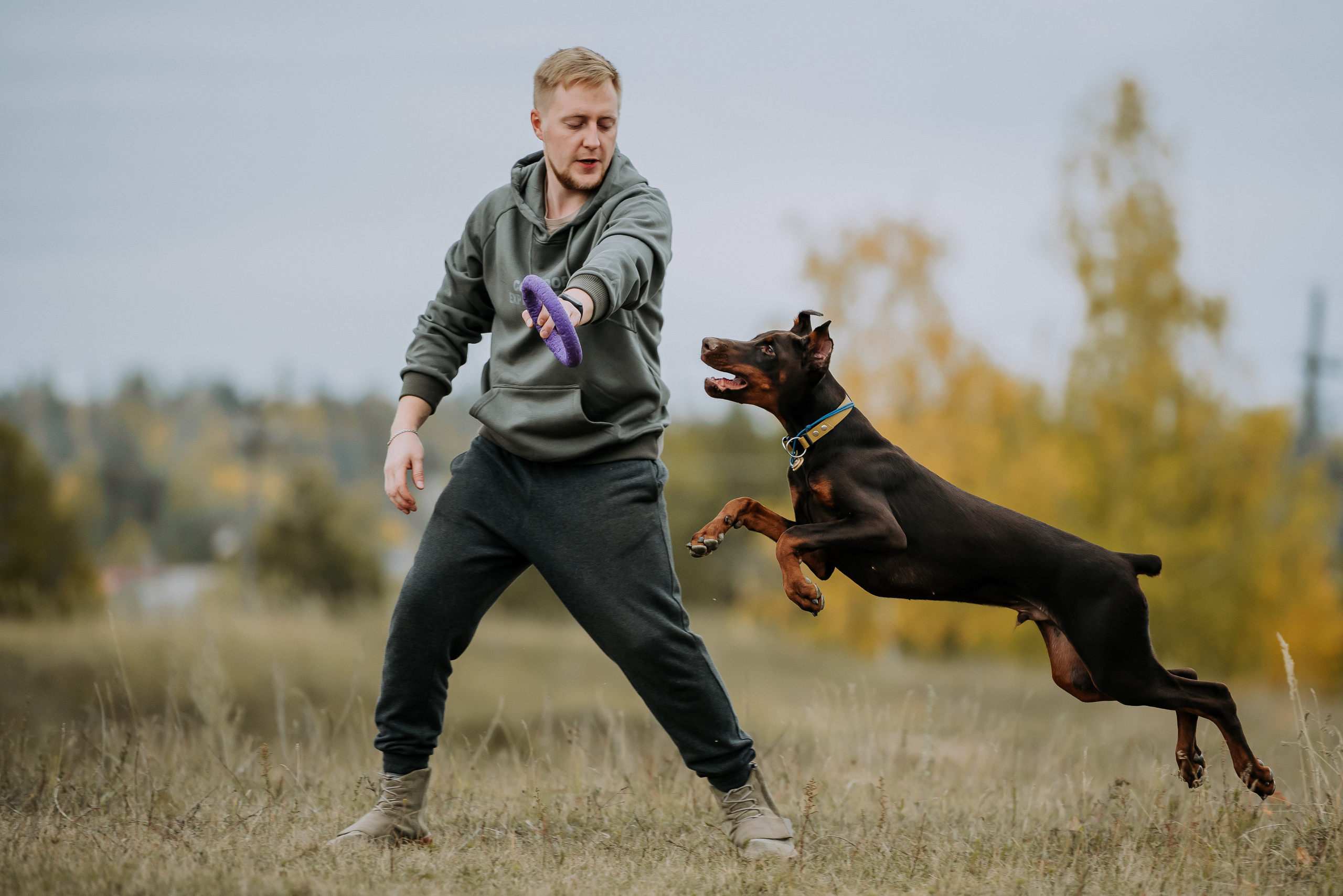 Натали&Евгений и Юстос. Фотограф Диана Оленина Красноярск / Братск