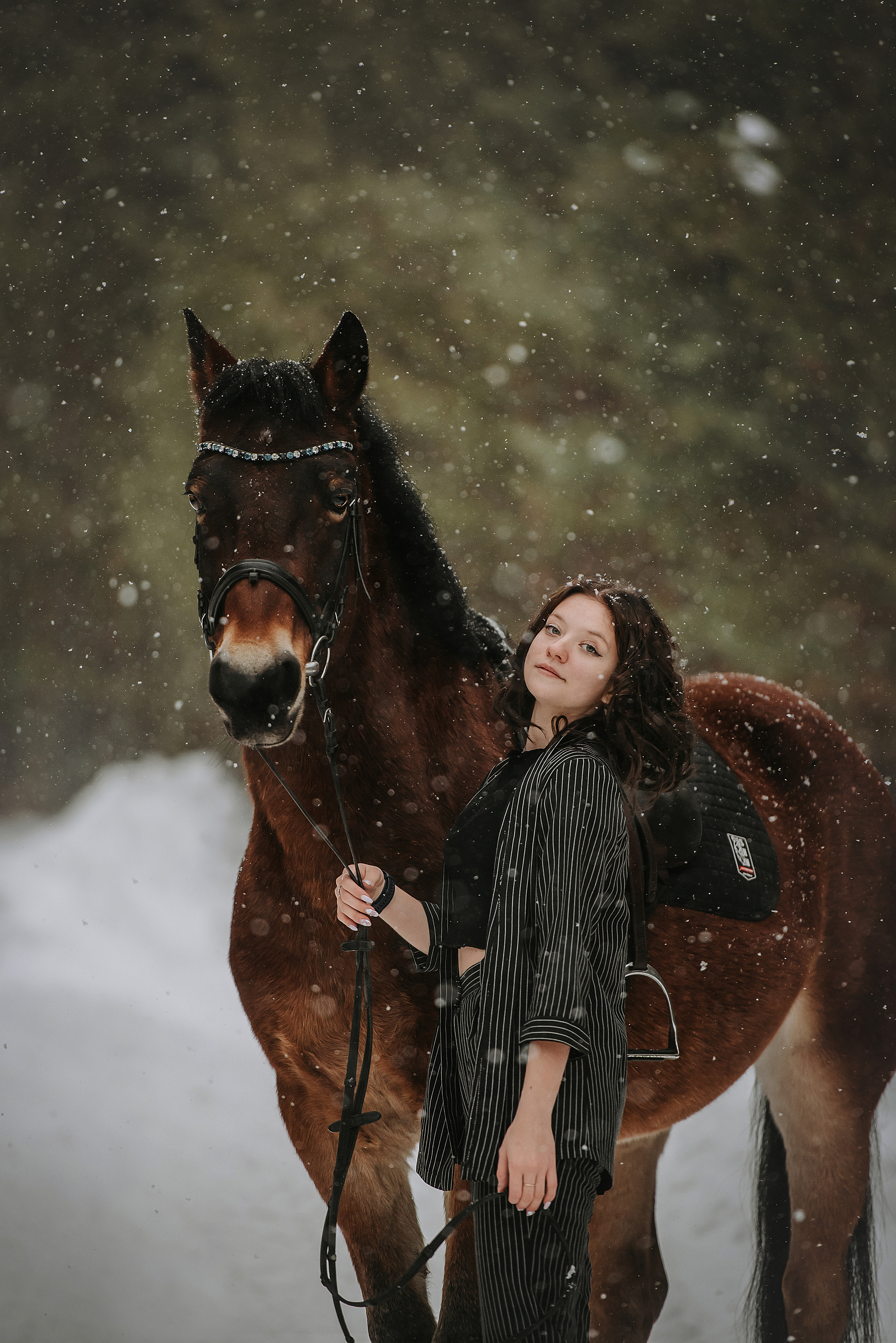 Конный мир. Фотограф Диана Оленина Красноярск / Братск