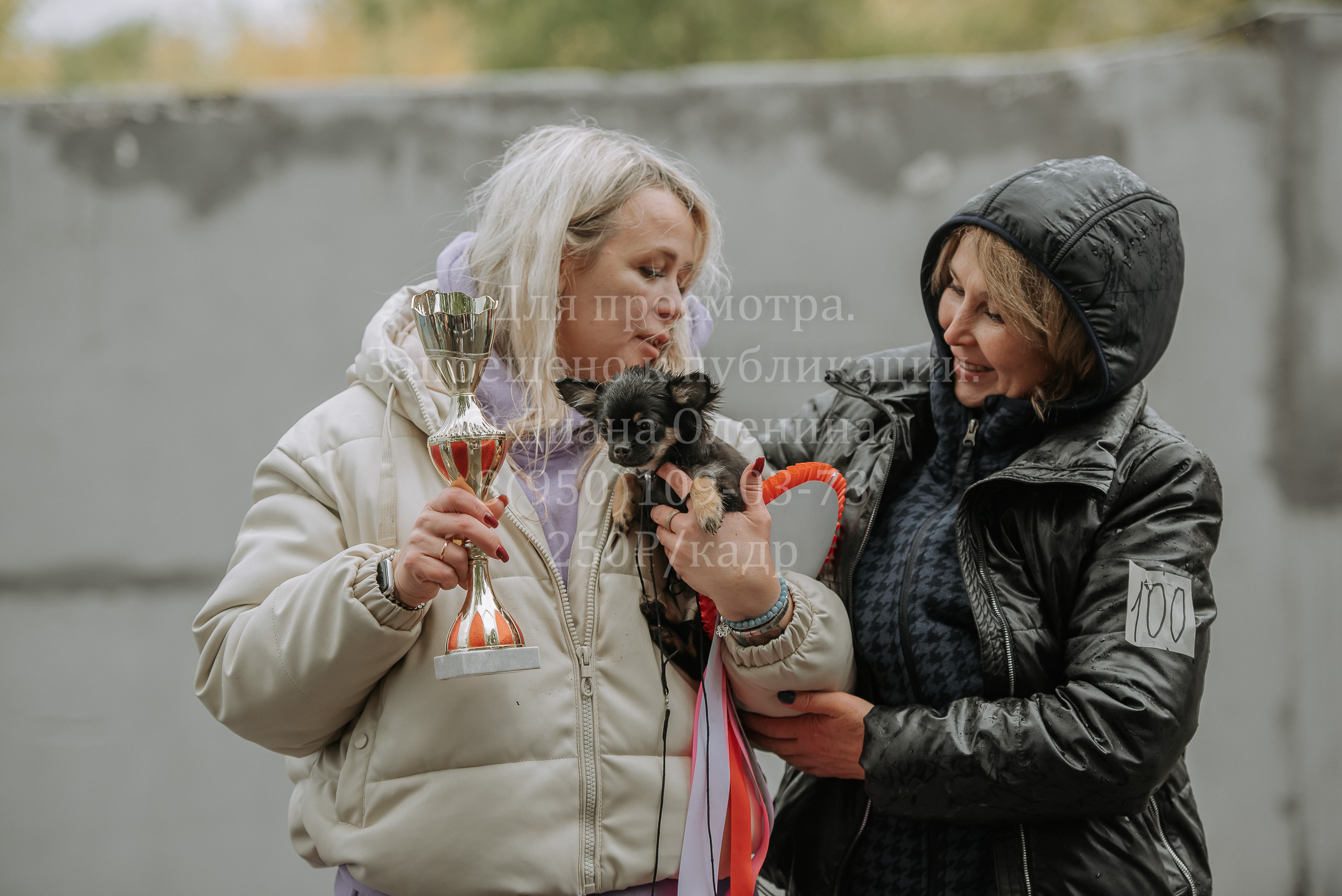 Выставка собак Братск 3 сентября 2022 Фаворит. Фотограф Диана Оленина Красноярск / Братск