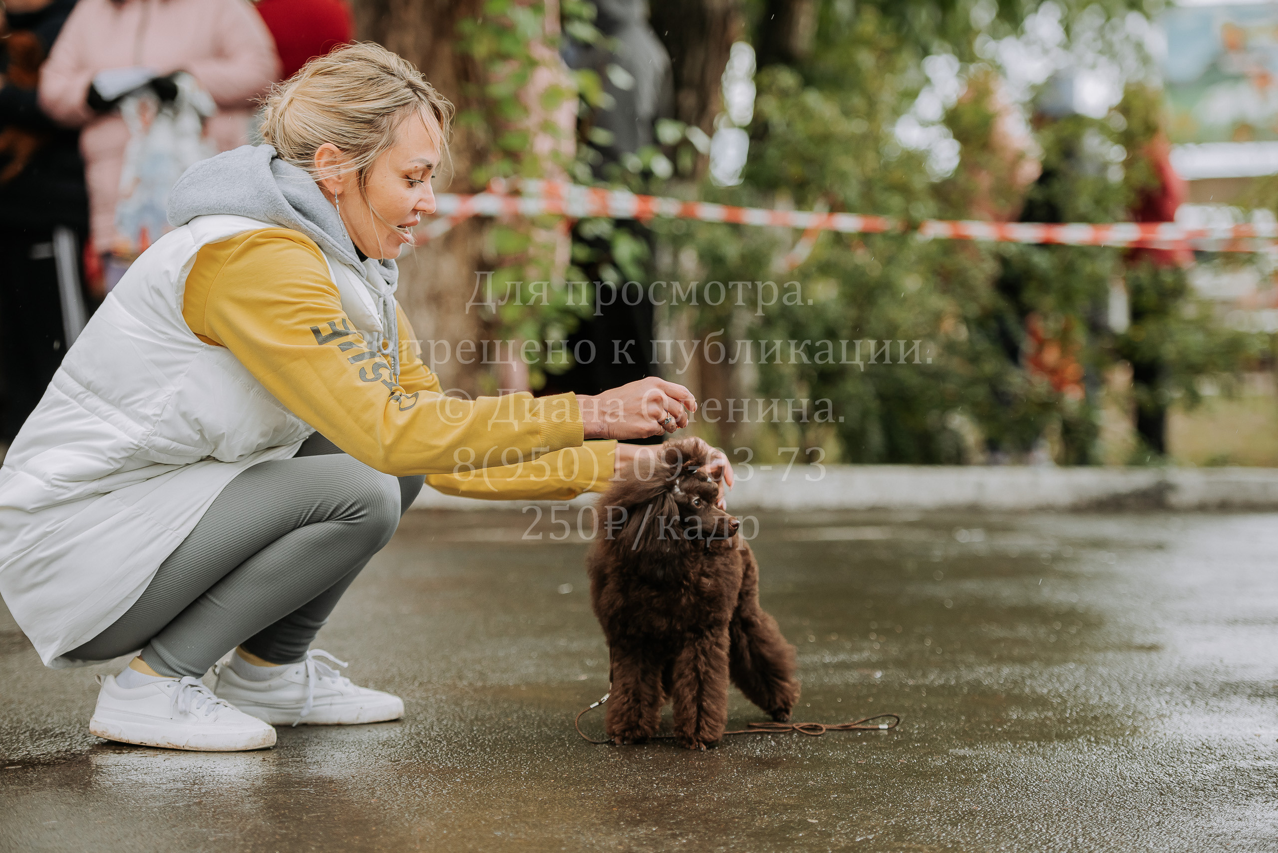 Выставка собак Братск 3 сентября 2022 Фаворит. Фотограф Диана Оленина Красноярск / Братск