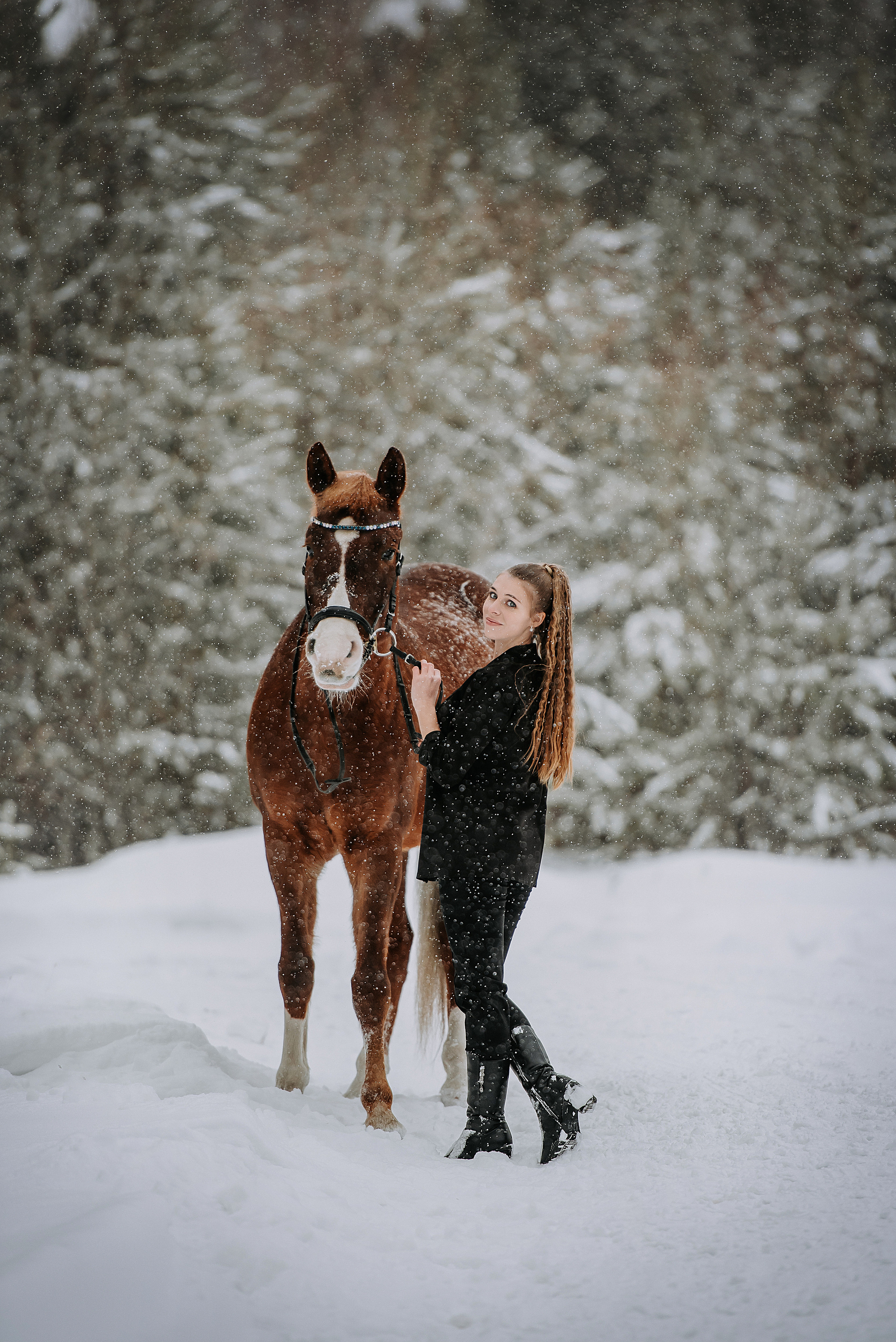 Конный мир. Фотограф Диана Оленина Красноярск / Братск