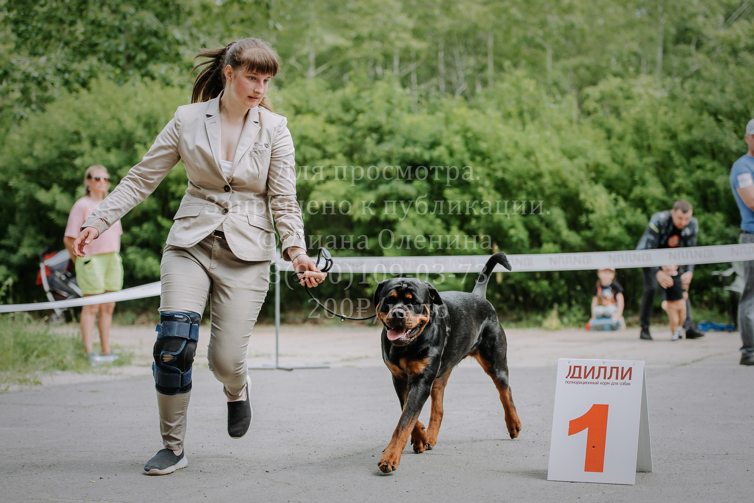 25 июня 2022 г. Братск БГОО КЛС Континенталь. Выставка собак. Фотограф Диана Оленина Красноярск / Братск