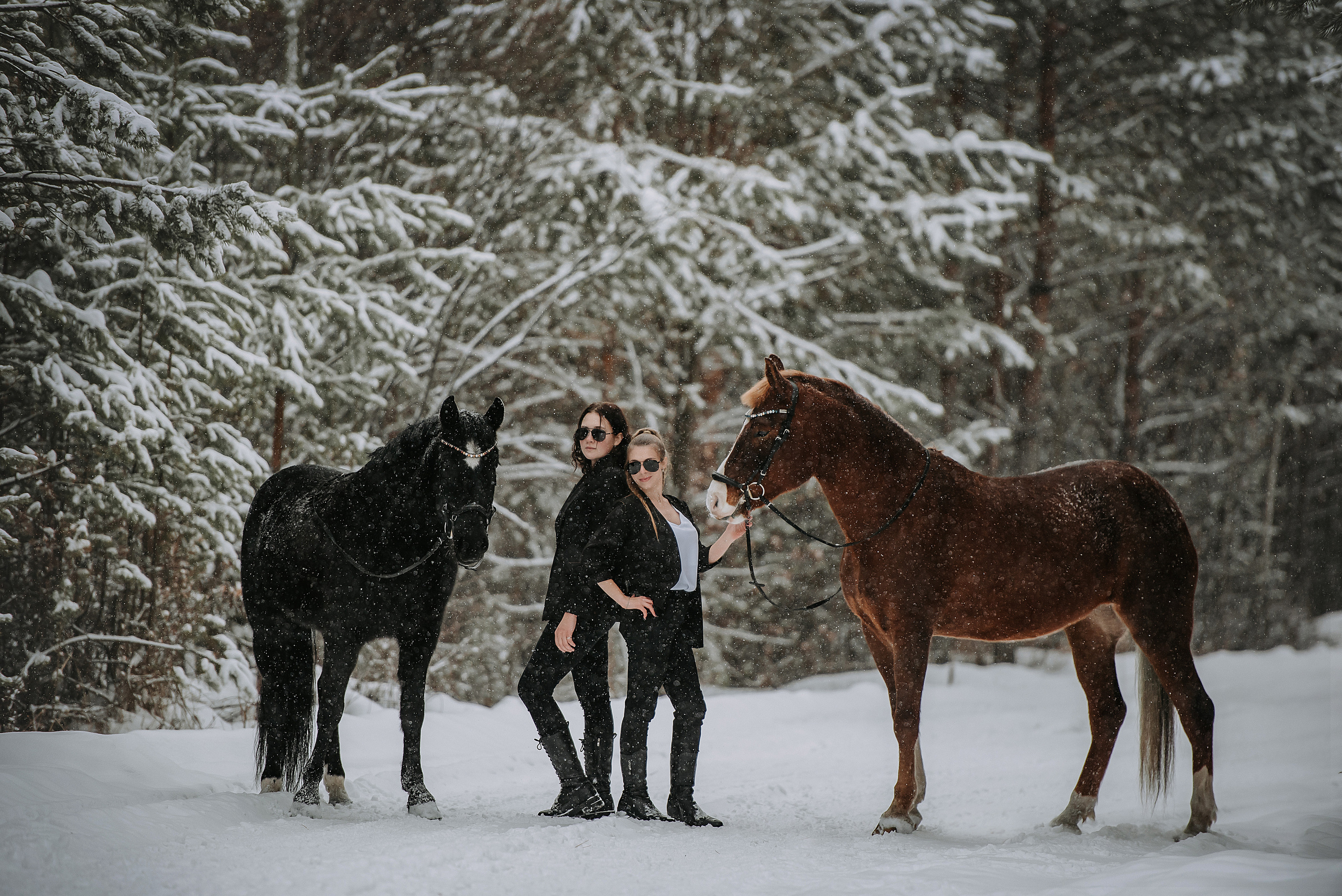 Конный мир. Фотограф Диана Оленина Красноярск / Братск