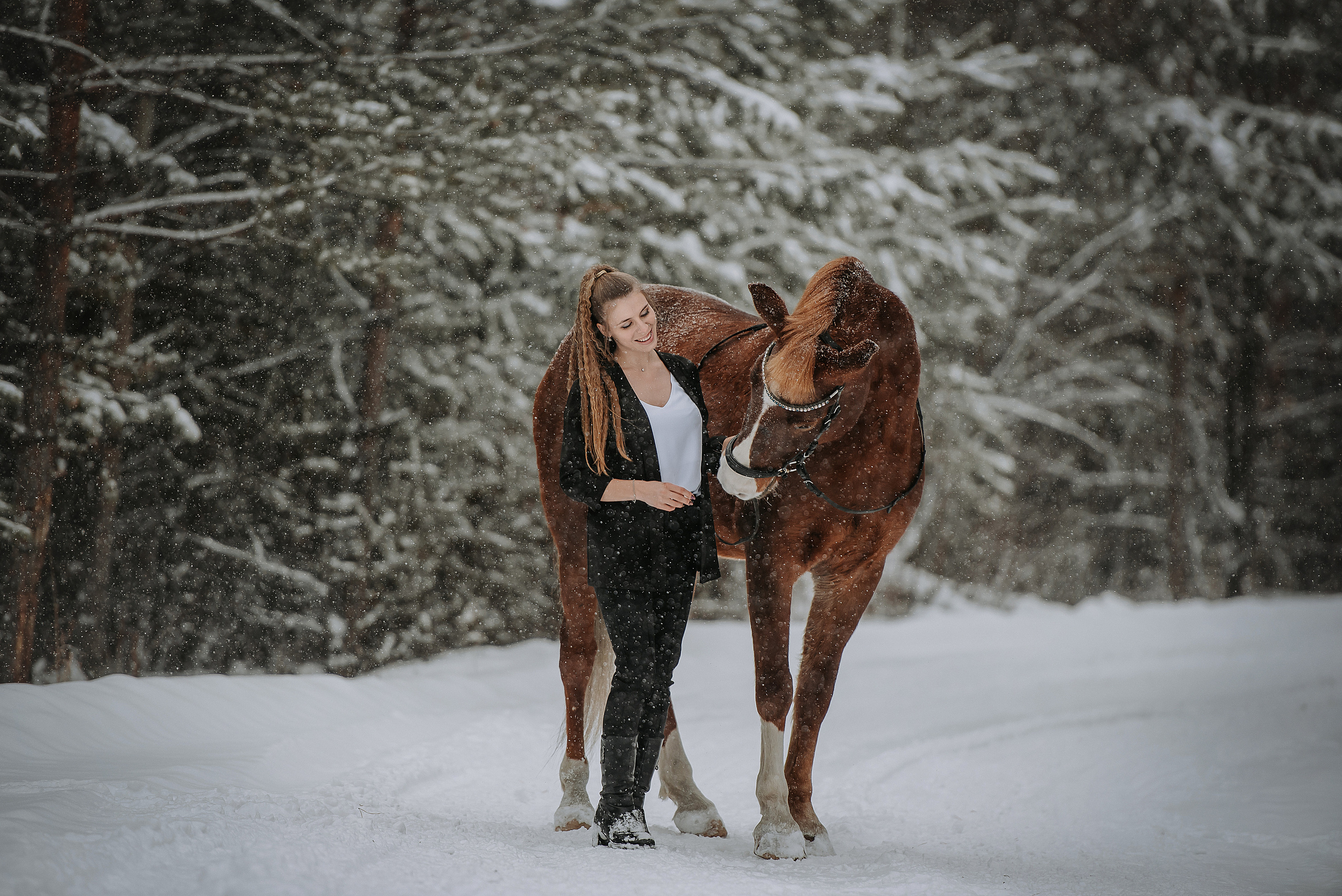 Конный мир. Фотограф Диана Оленина Красноярск / Братск